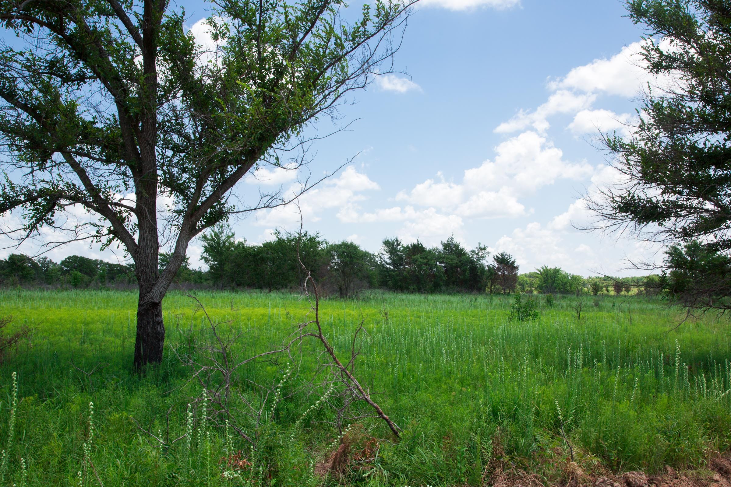 Deep Fork Ranch photo 27