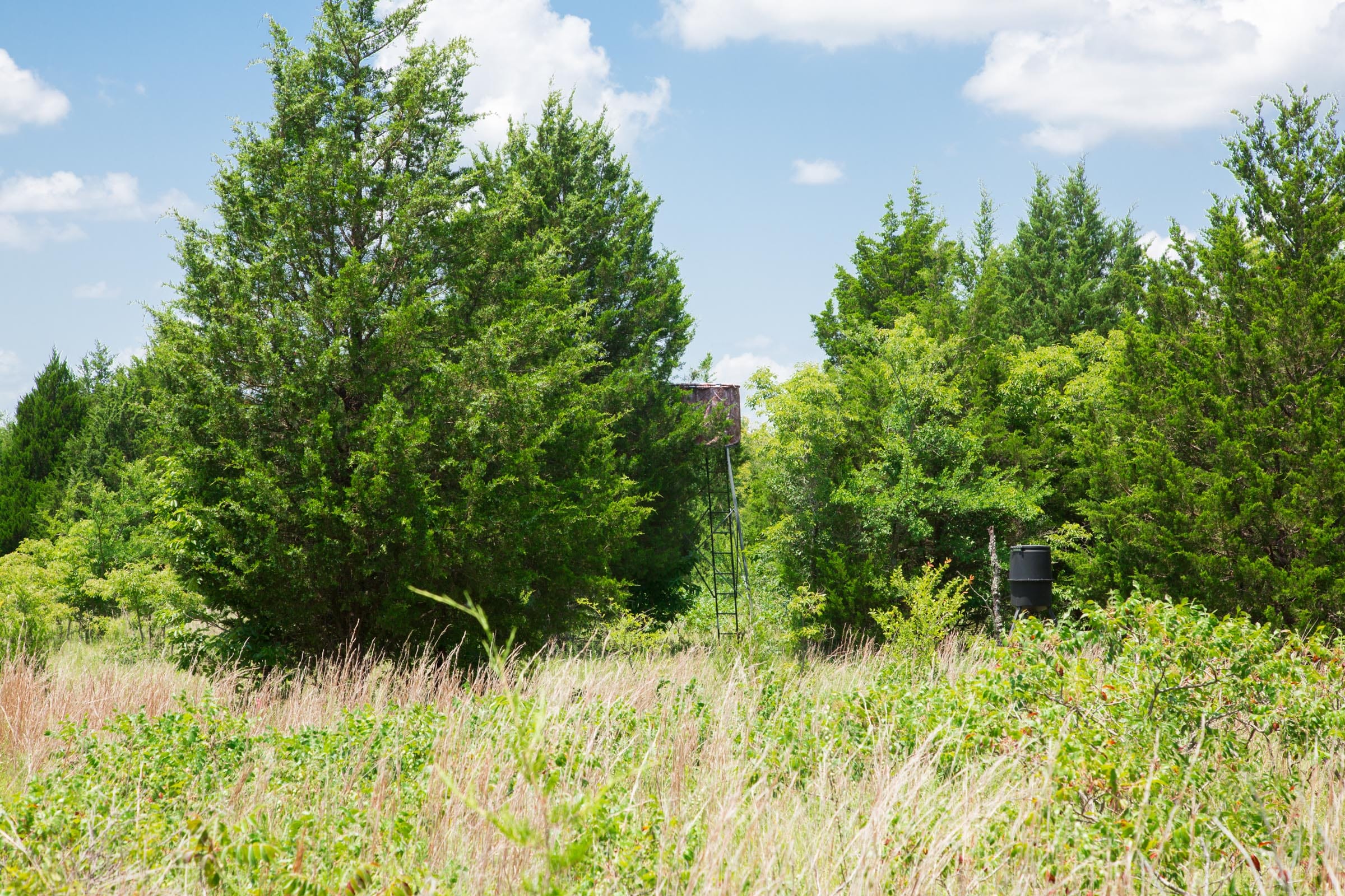 Deep Fork Ranch photo 24