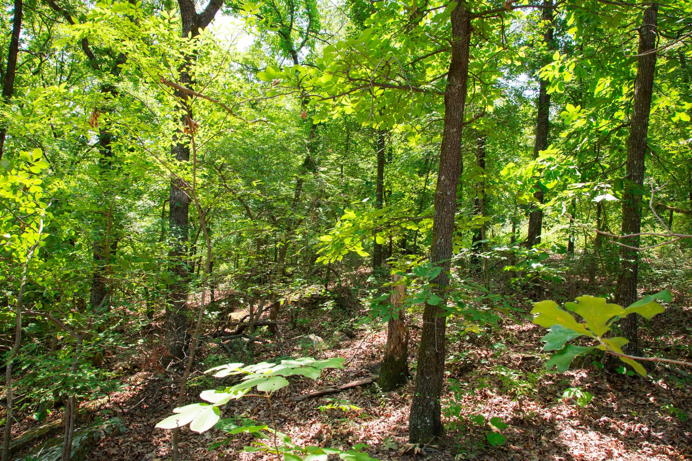 Deep Fork Ranch photo 11