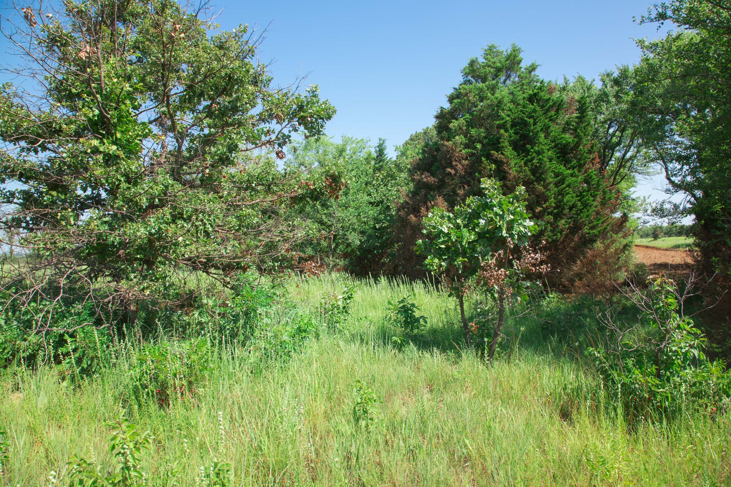 Deep Fork Ranch photo 3