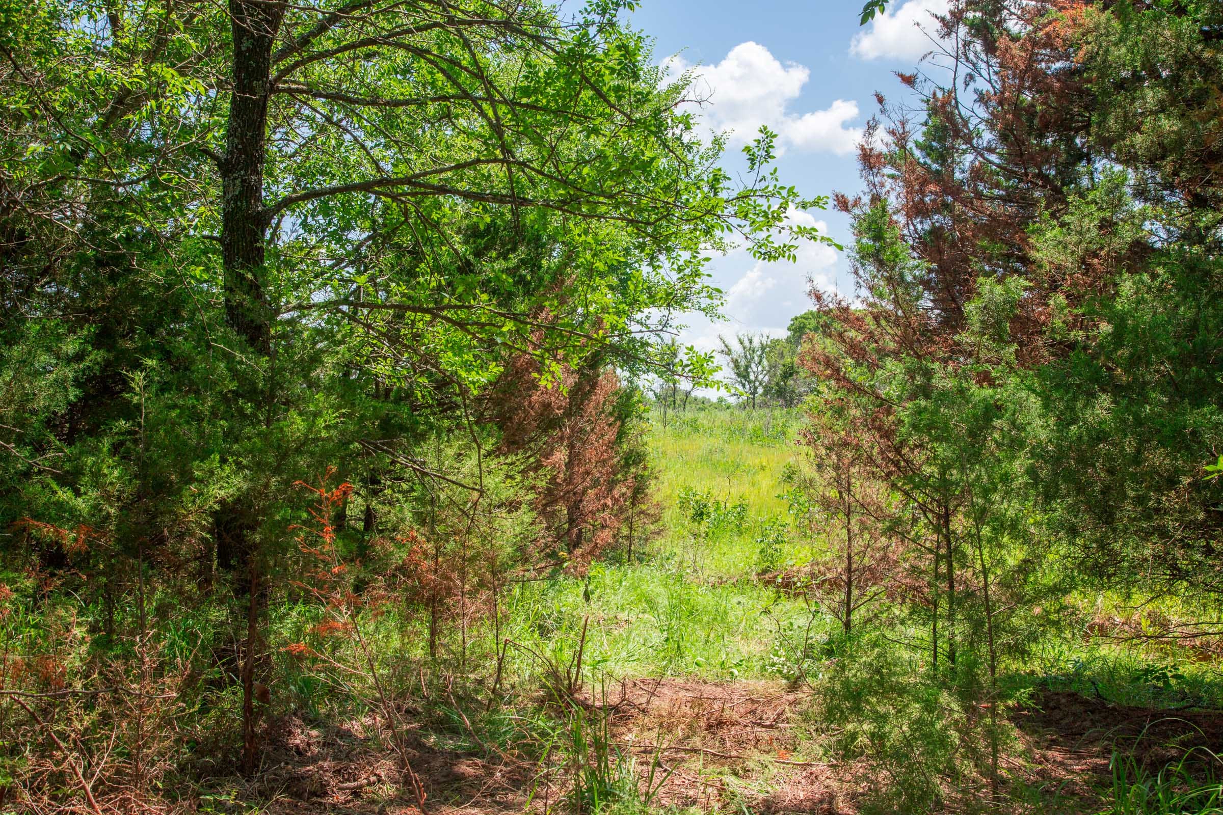 Deep Fork Ranch photo 28