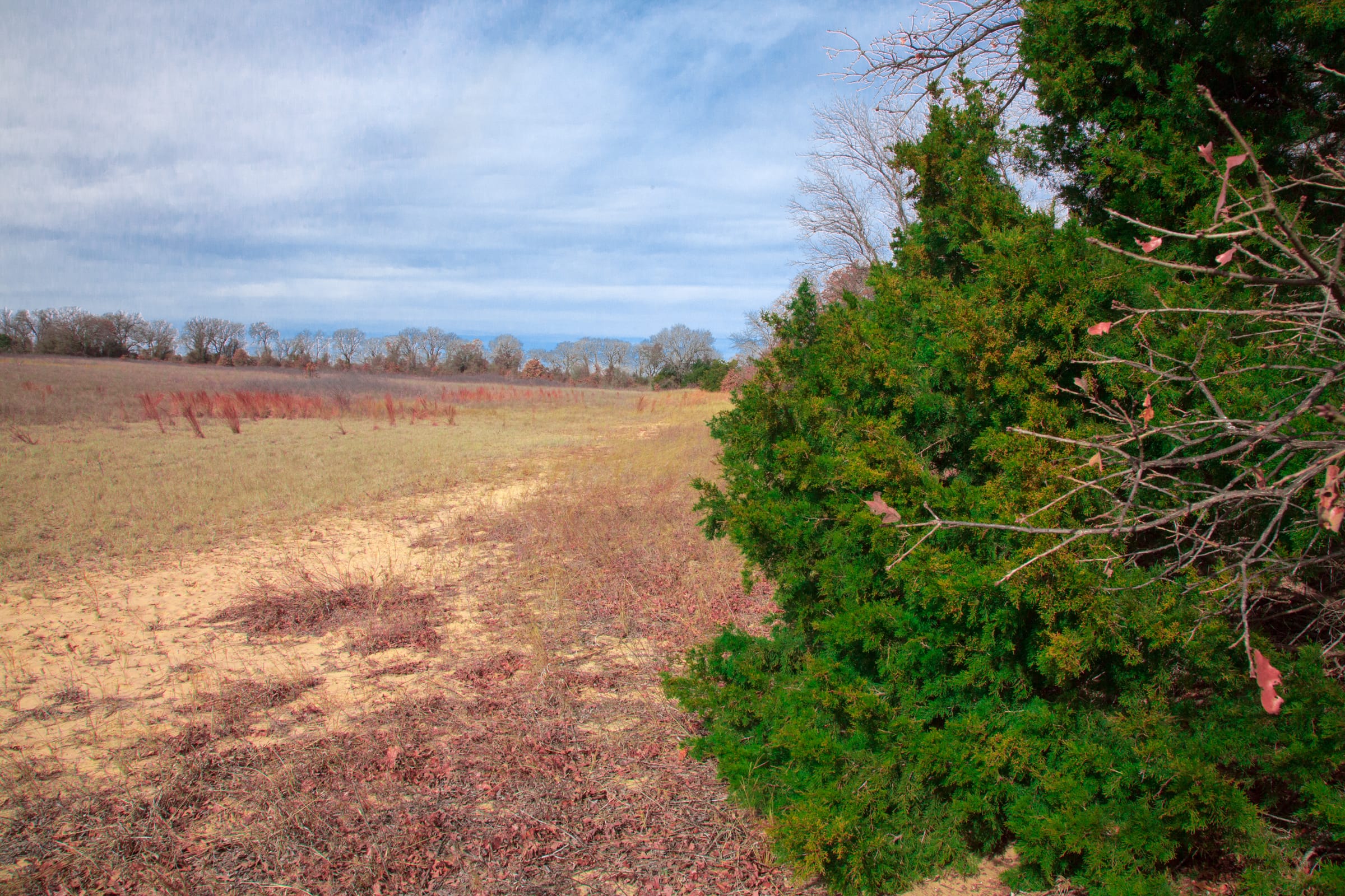 Legacy Ranch photo 25