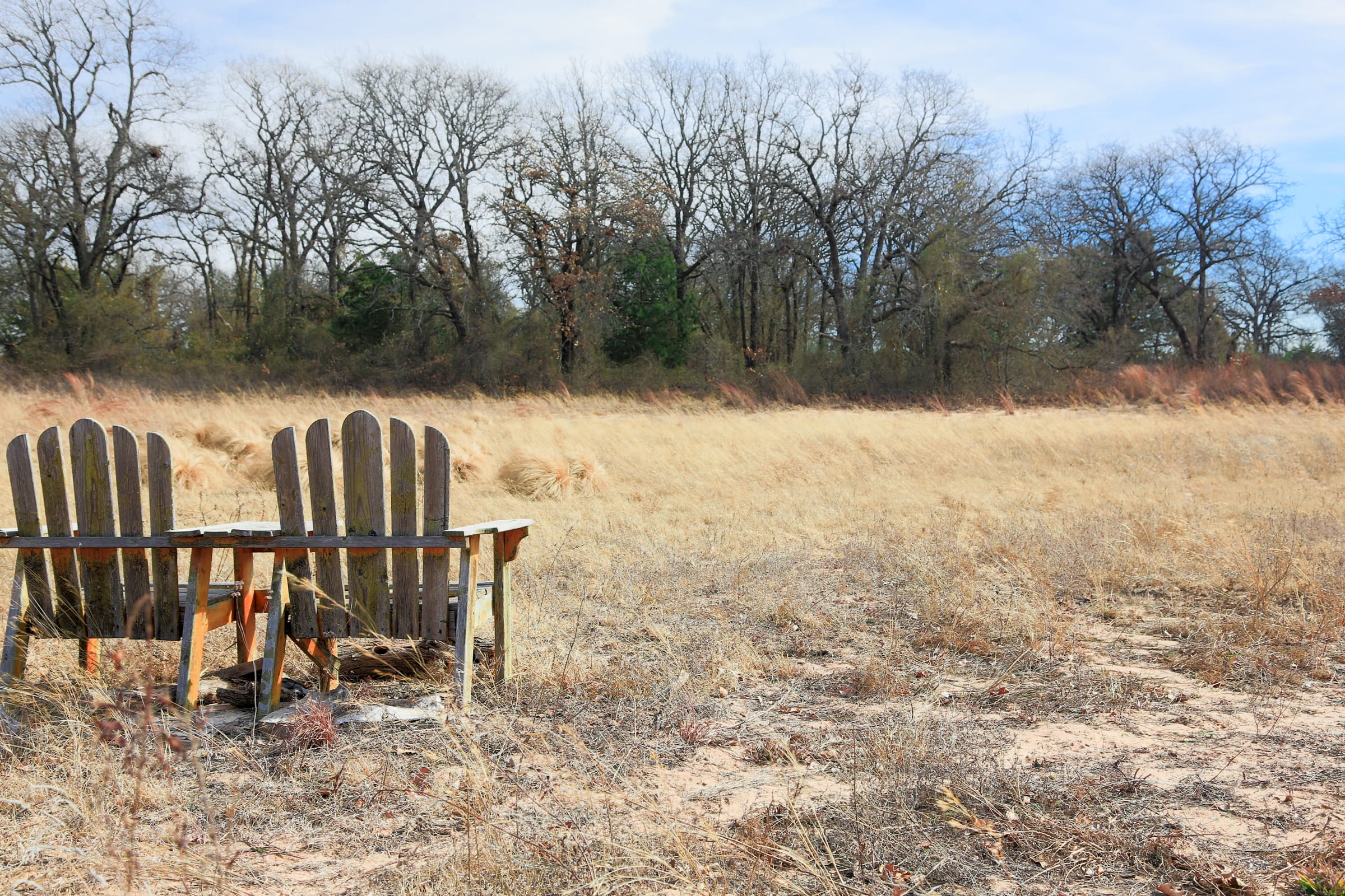 Legacy Ranch photo 13