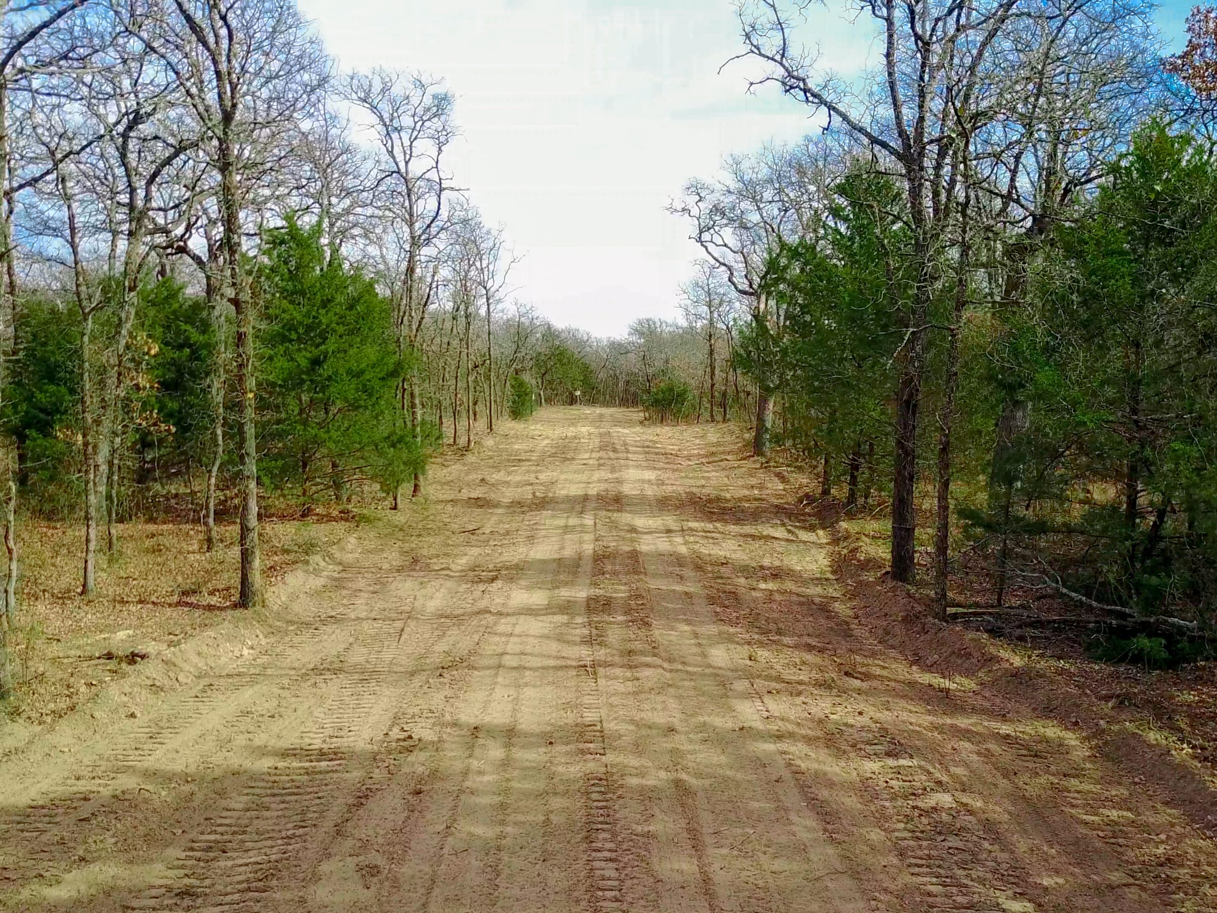 Legacy Ranch photo 6