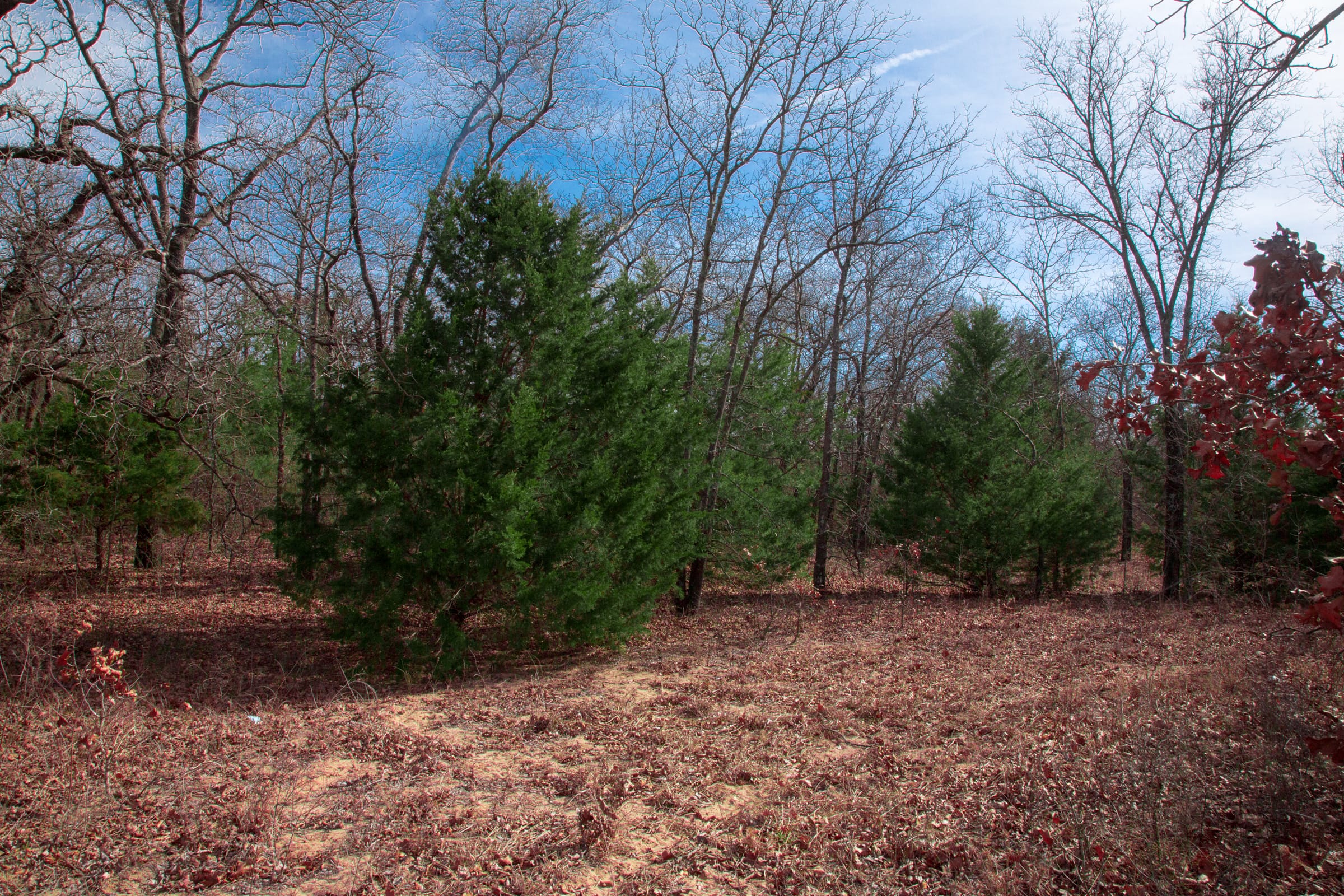 Legacy Ranch photo 26