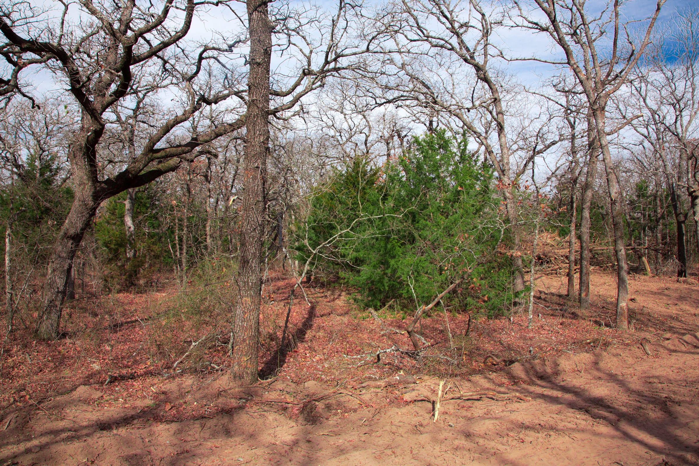 Legacy Ranch photo 28