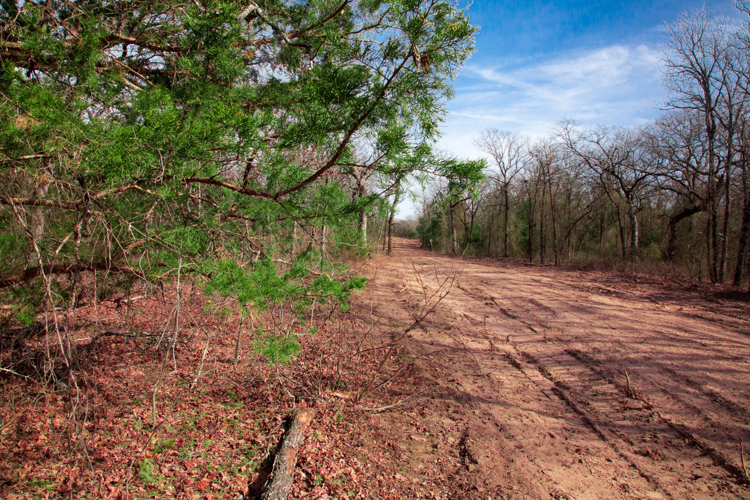 Legacy Ranch photo 27
