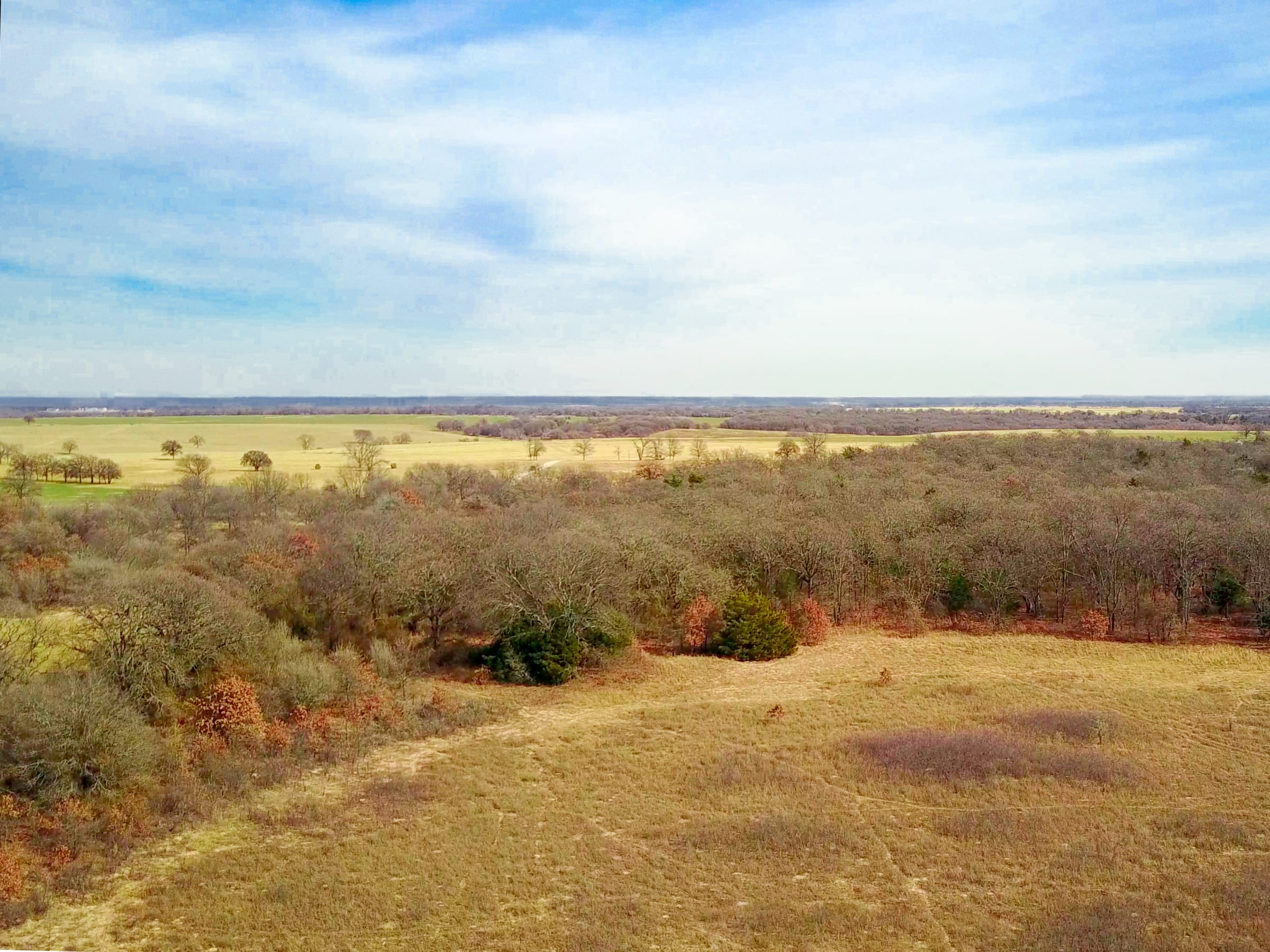 Legacy Ranch photo 8