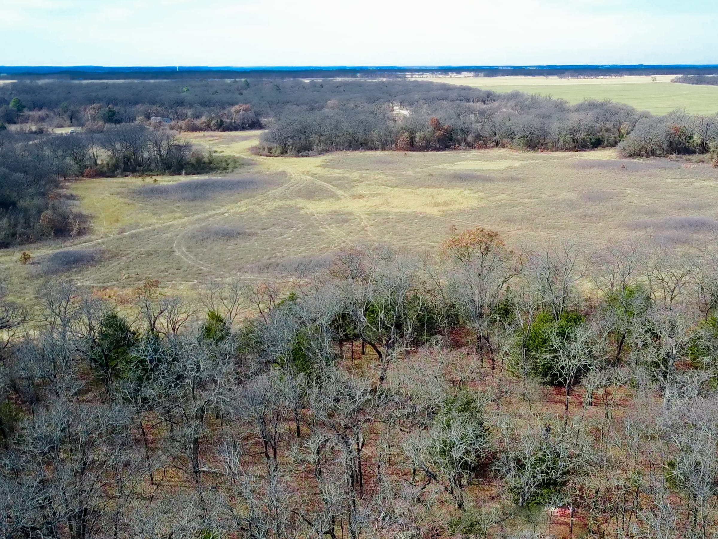Legacy Ranch photo 3