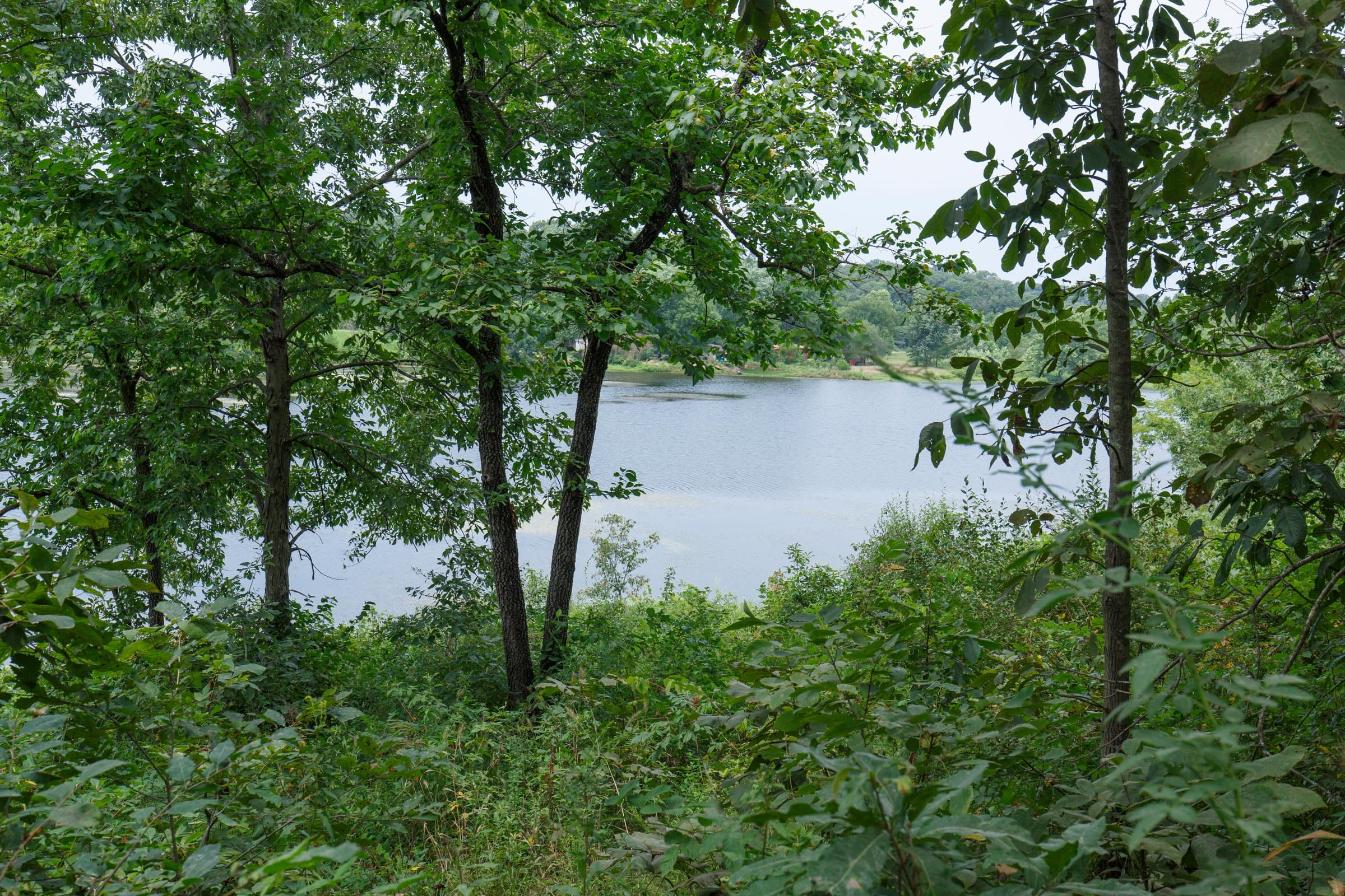 Spring Lake photo 10