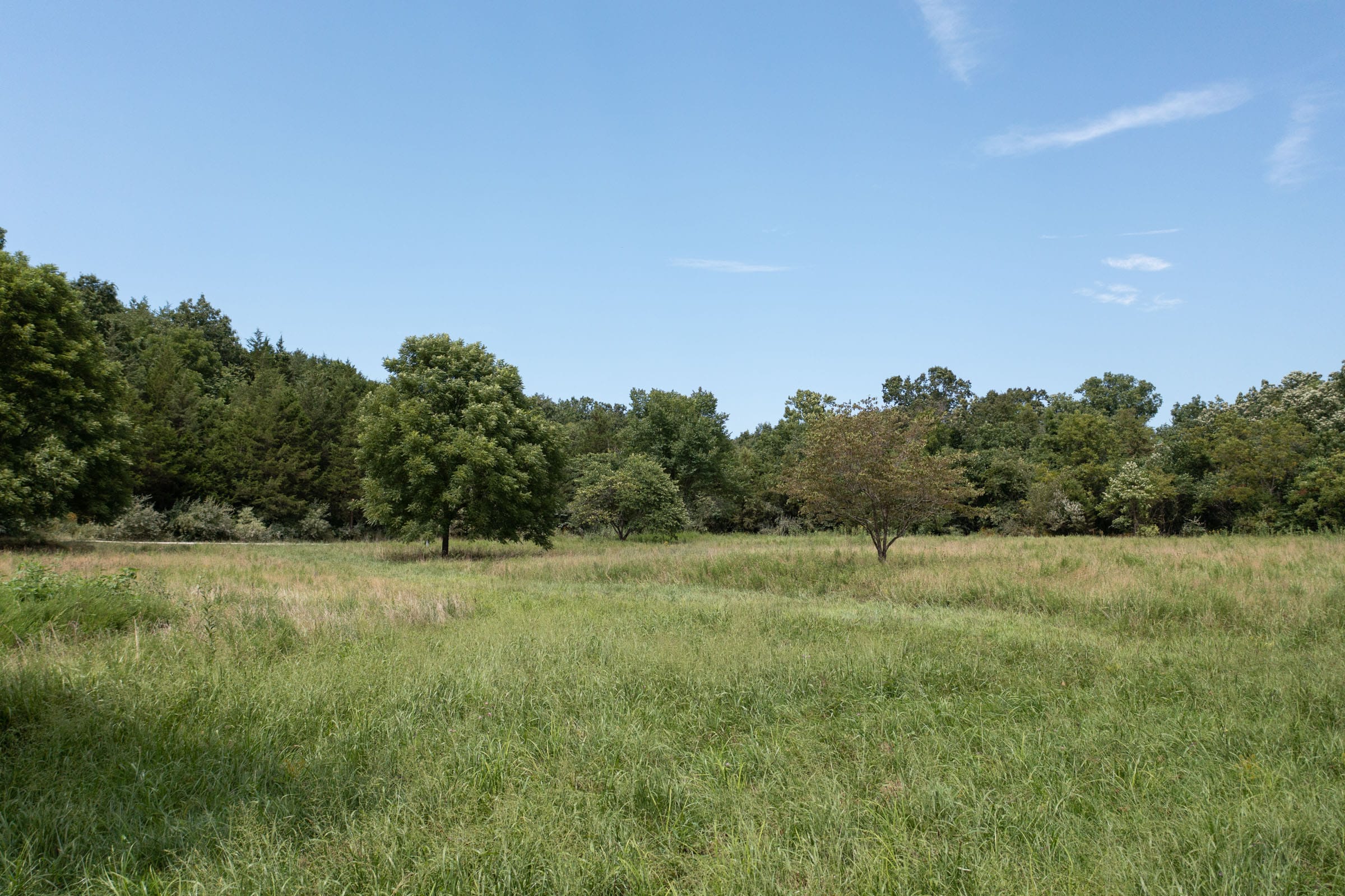 Spring Lake photo 7