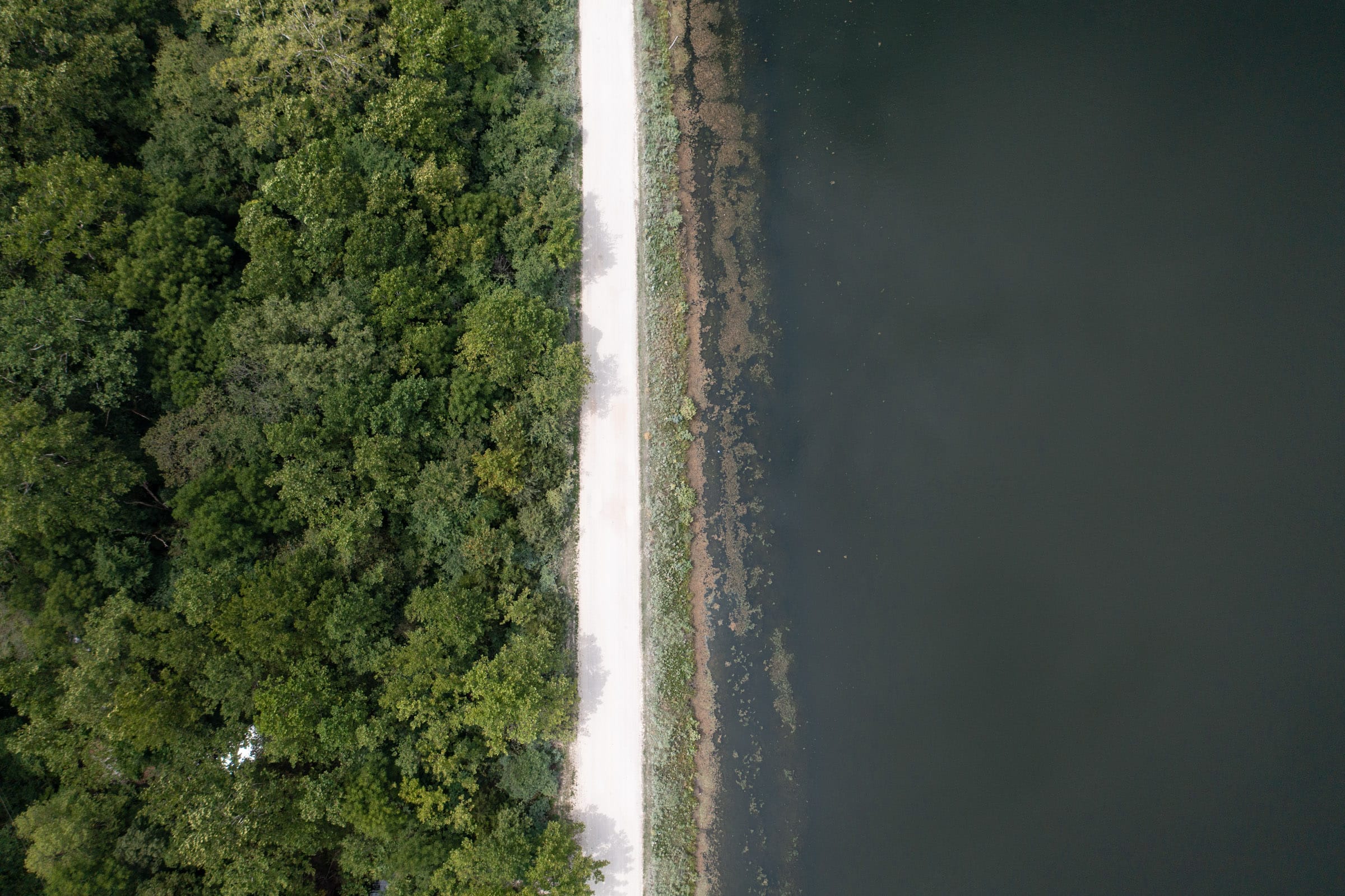 Spring Lake photo 6