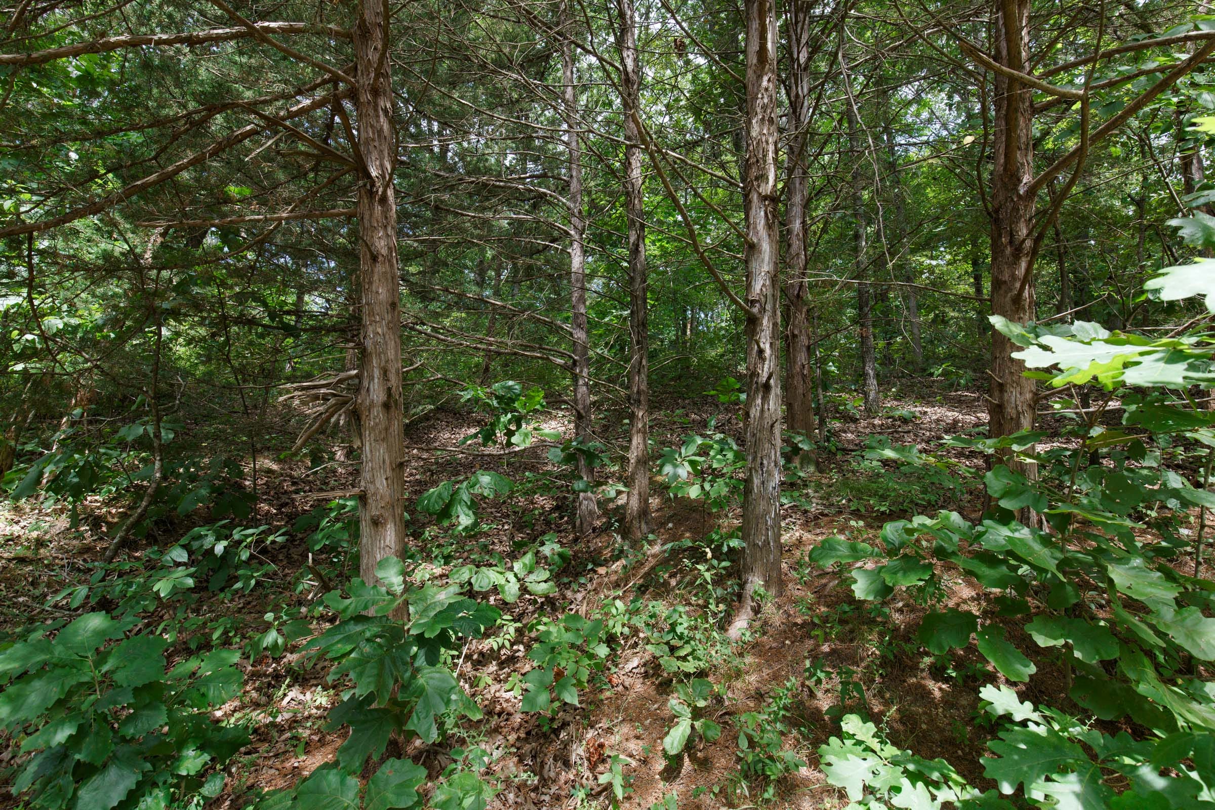 Spring Lake photo 17