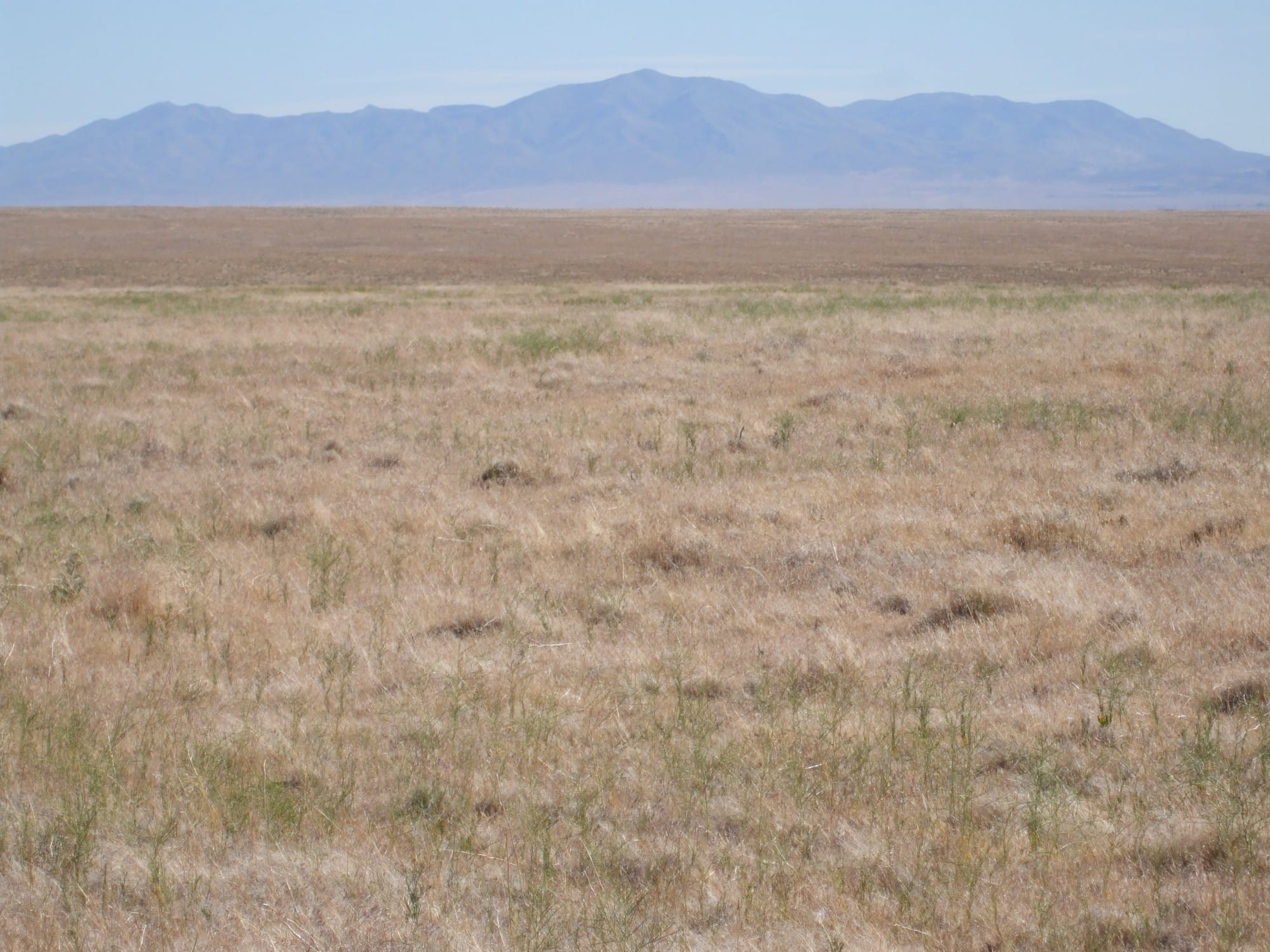 Elko County photo 5