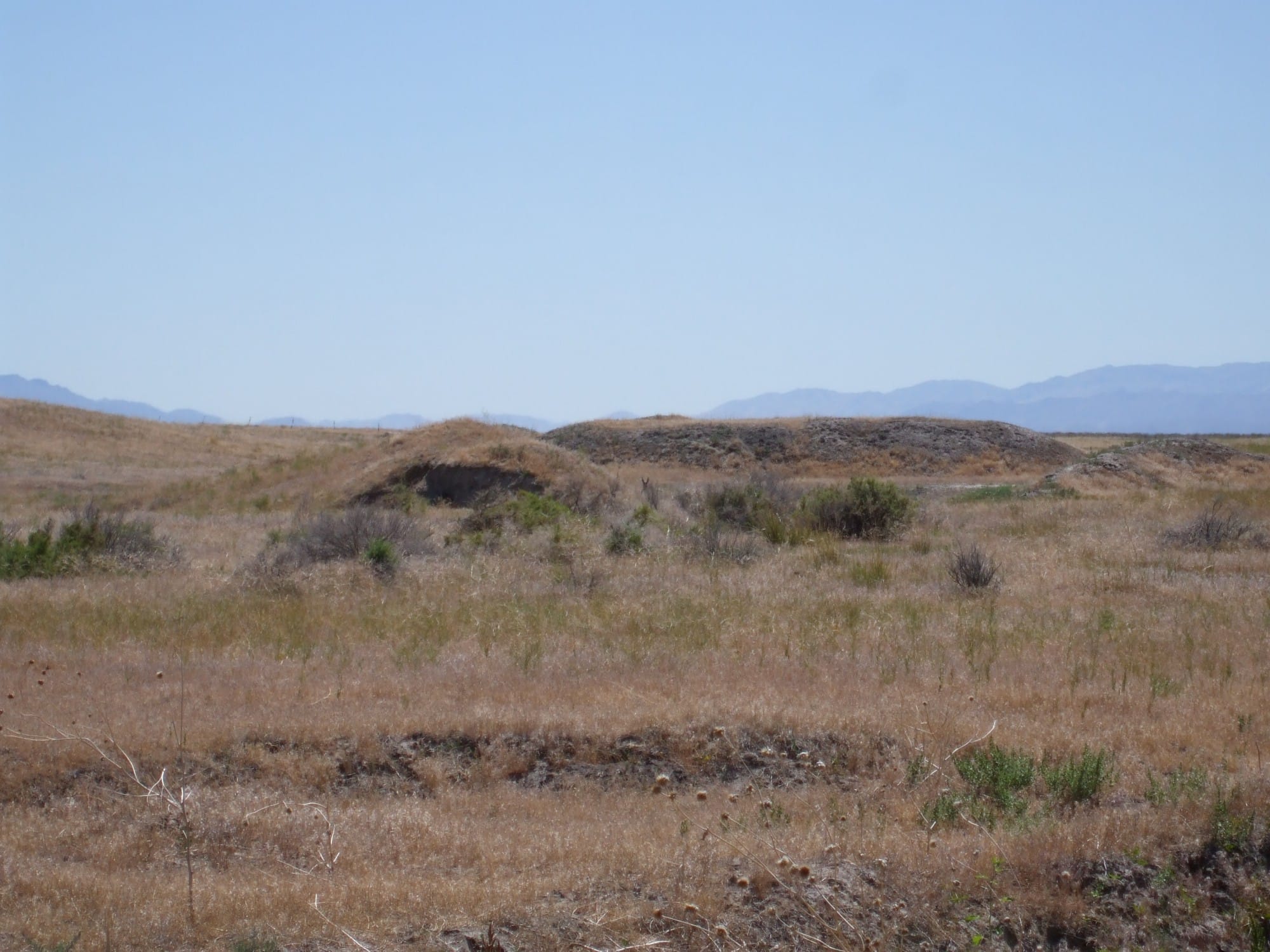 Elko County photo 2