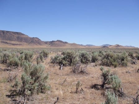 Elko County photo 4