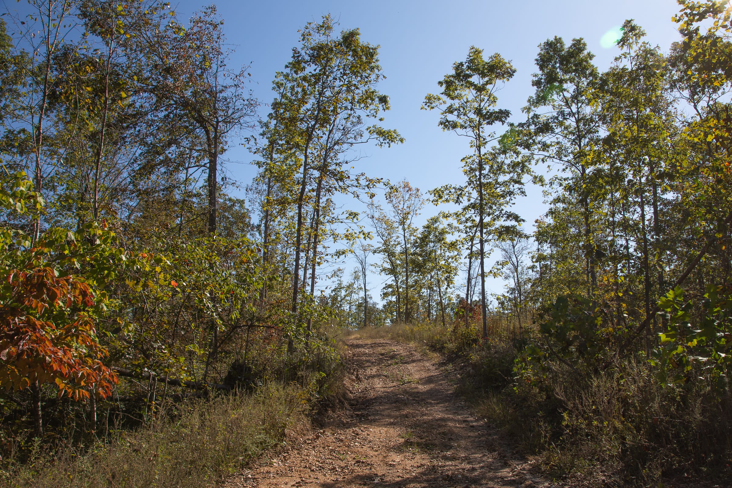 Borgmann’s Hollow Phase IV photo 8
