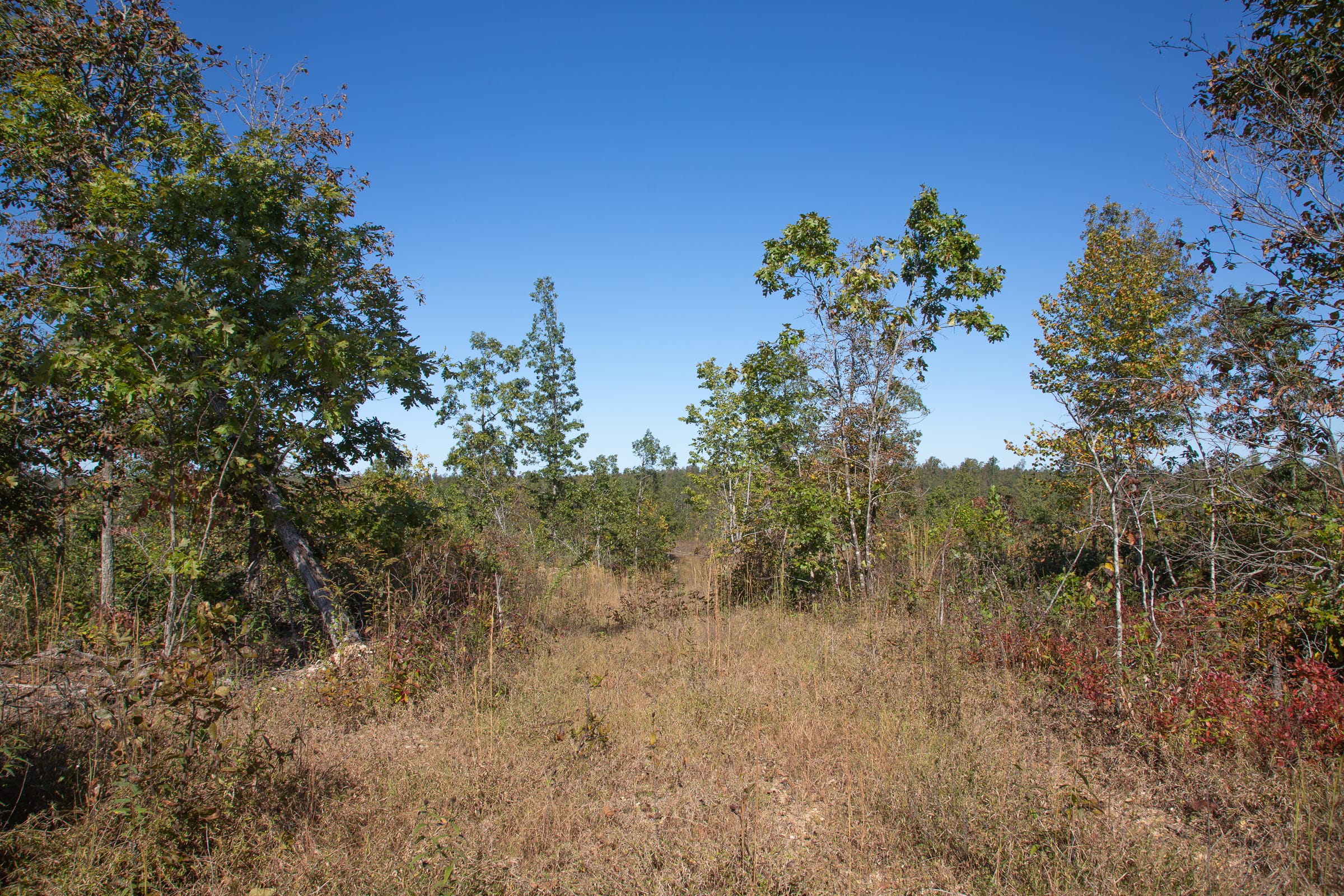 Borgmann’s Hollow Phase IV photo 2