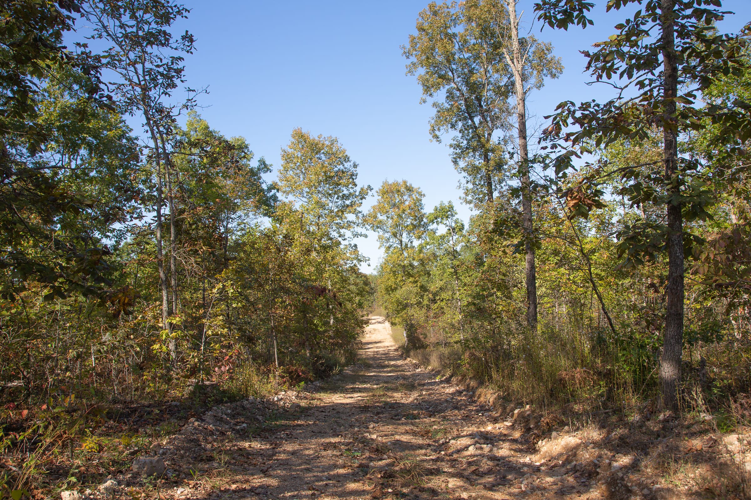 Borgmann’s Hollow Phase IV photo 9