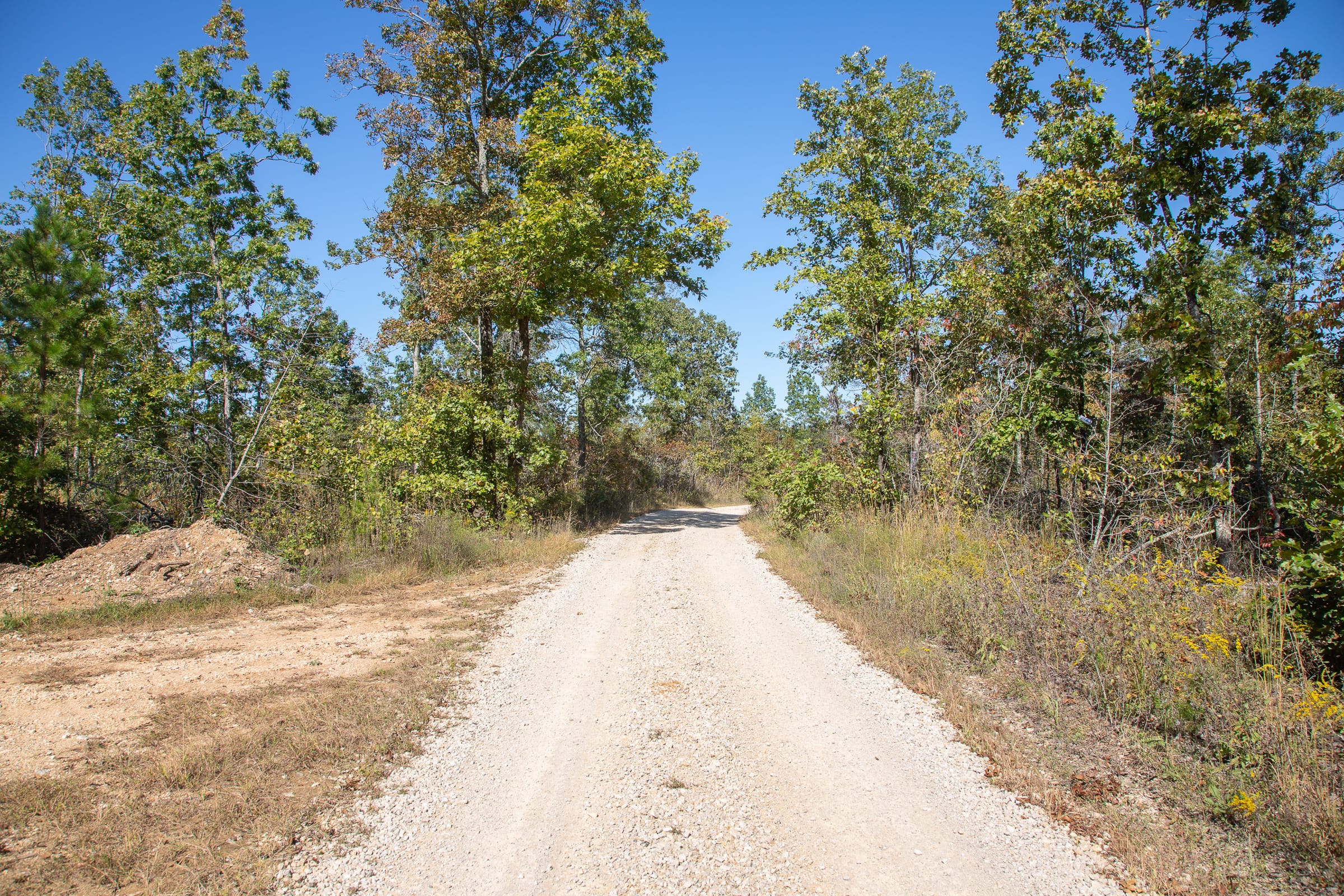 Borgmann’s Hollow Phase III photo 12