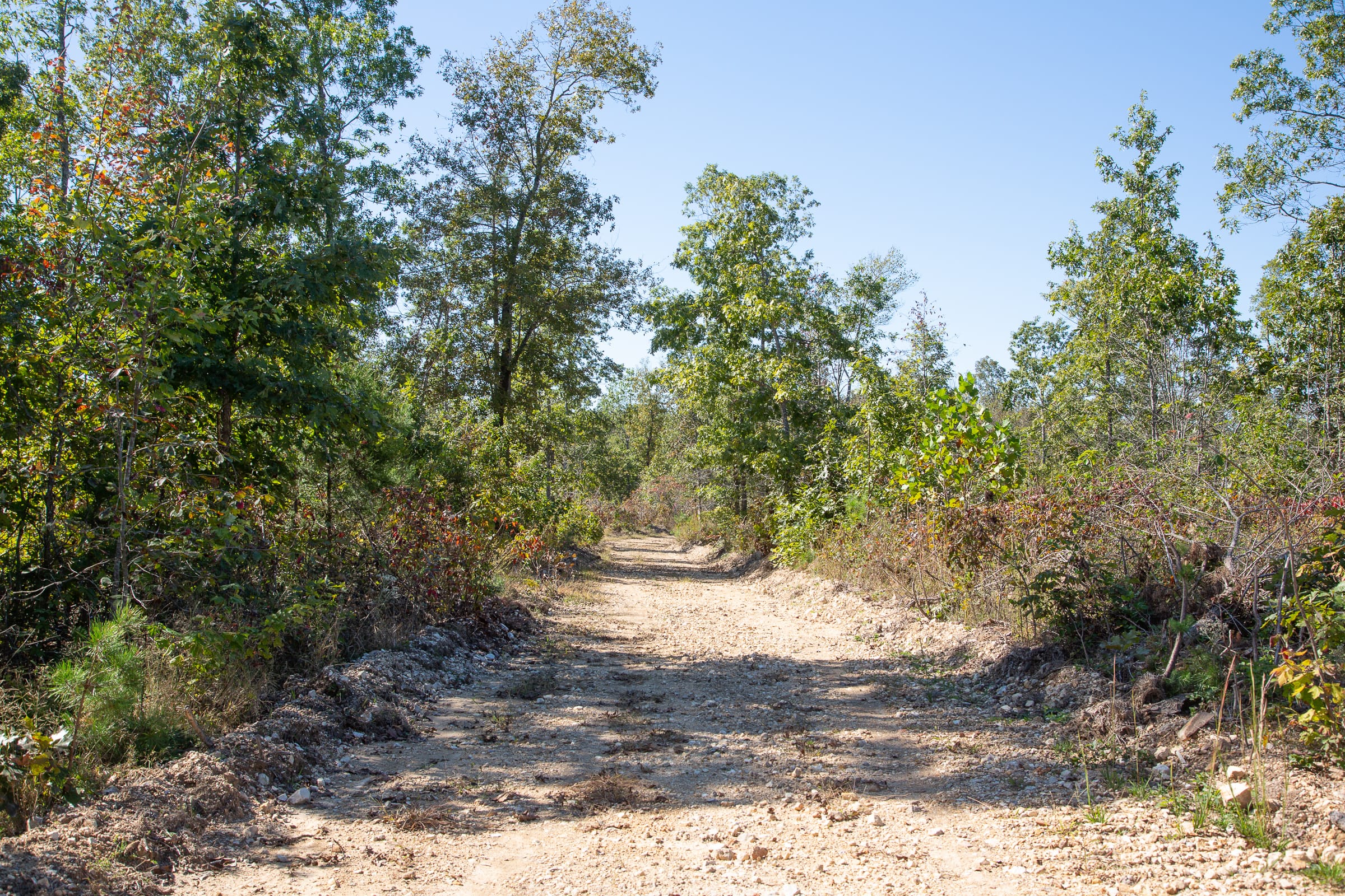 Borgmann’s Hollow Phase III photo 15