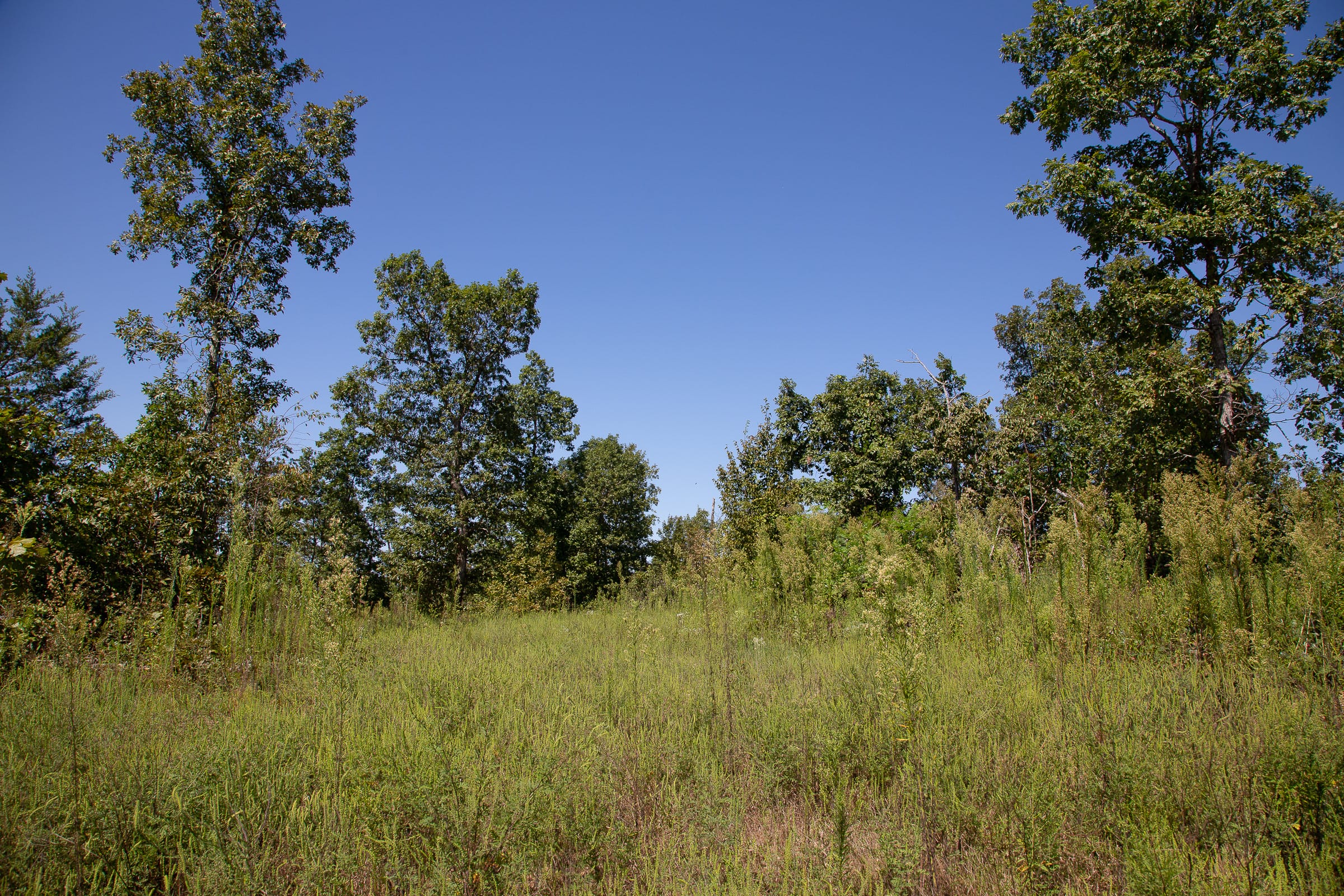 Borgmann’s Hollow Phase III photo 1