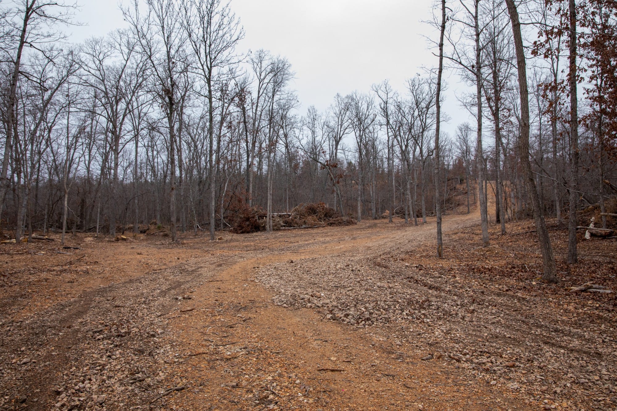 Carter’s Crossing photo 11