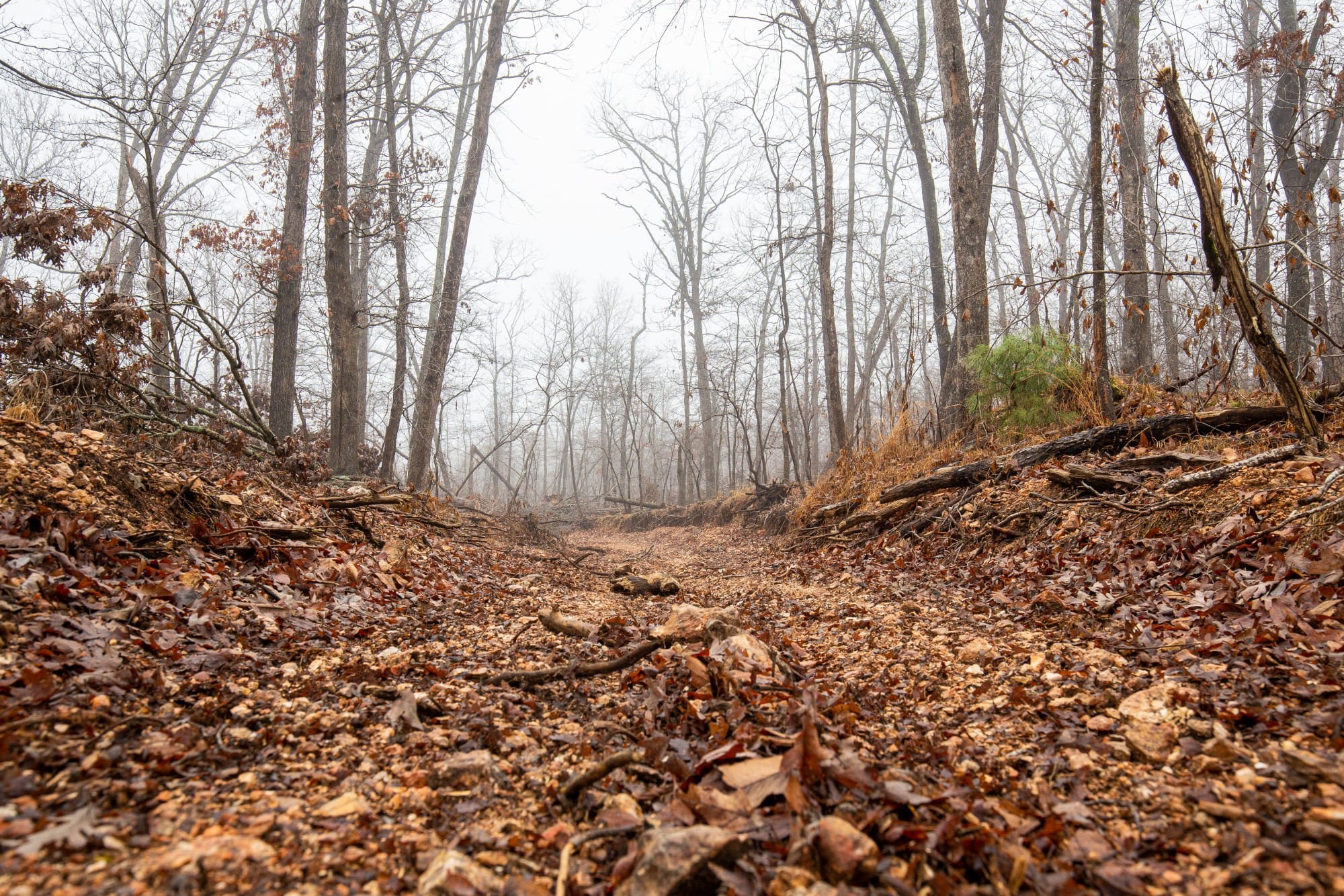 Carter’s Crossing photo 16
