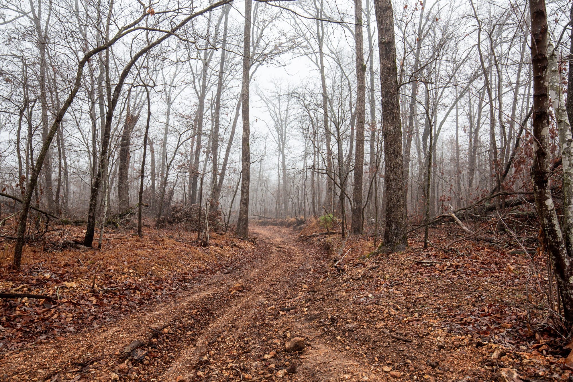 Carter’s Crossing photo 15