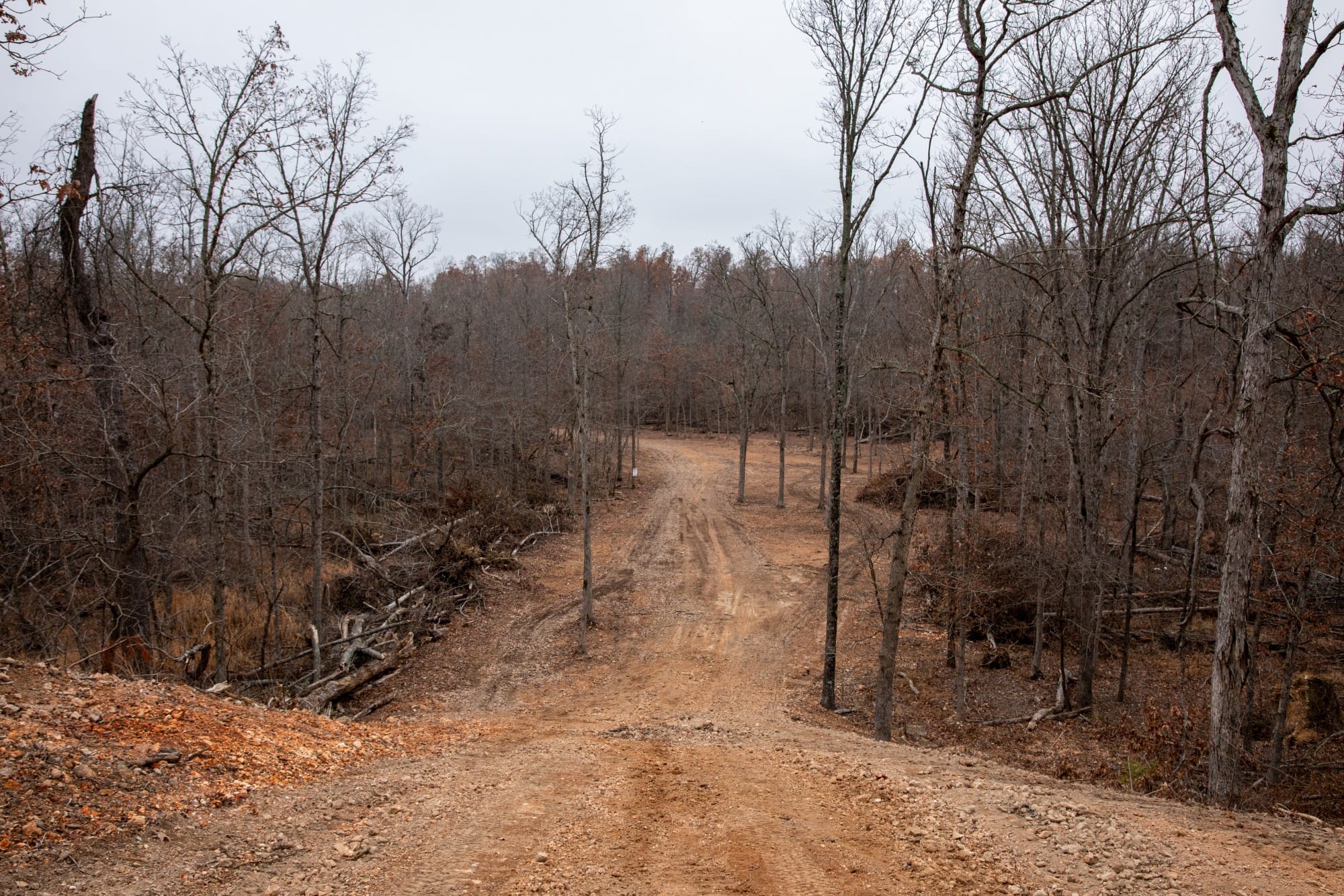 Carter’s Crossing photo 7