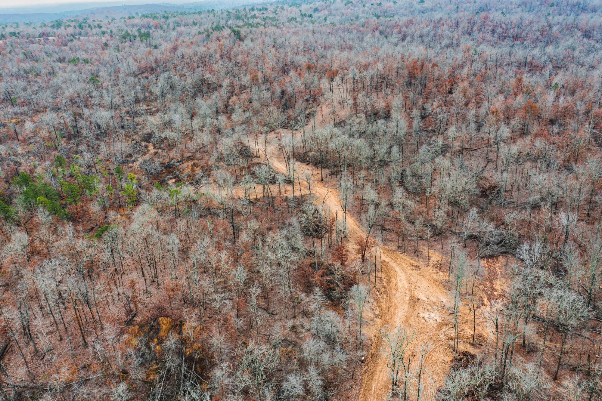 Carter’s Crossing photo 2