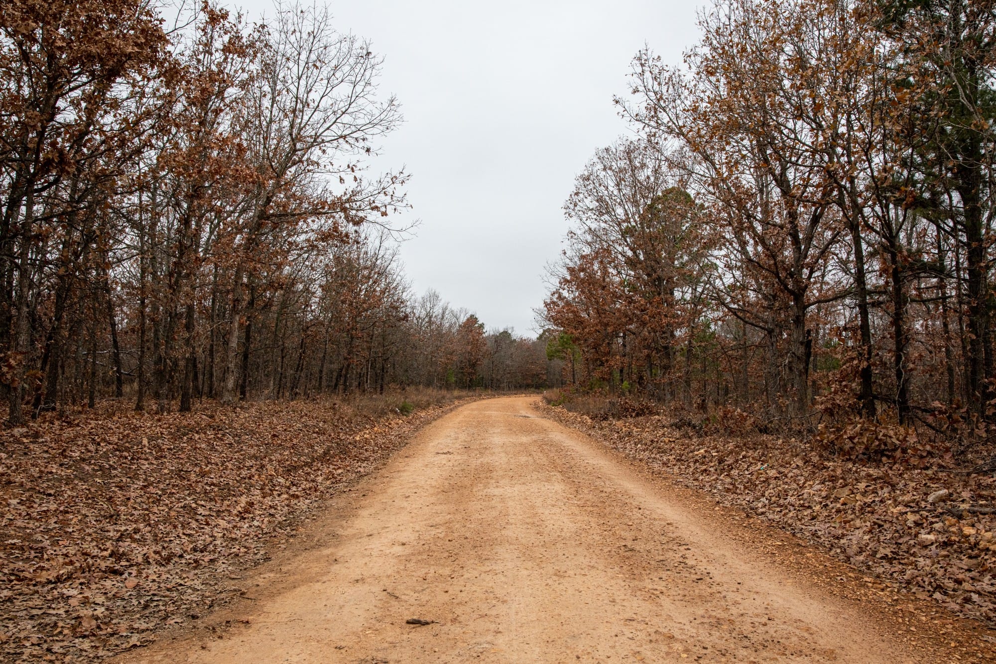 Carter’s Crossing photo 3