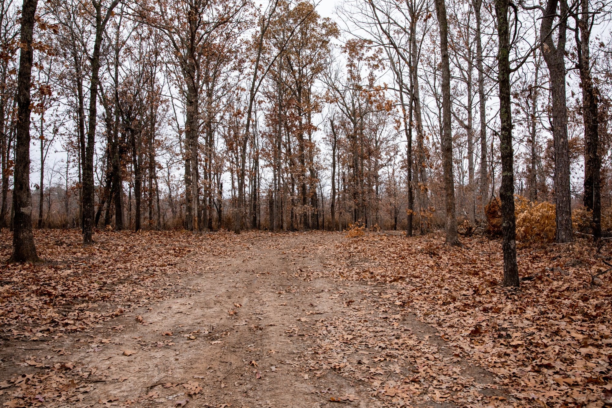 Carter’s Crossing photo 4