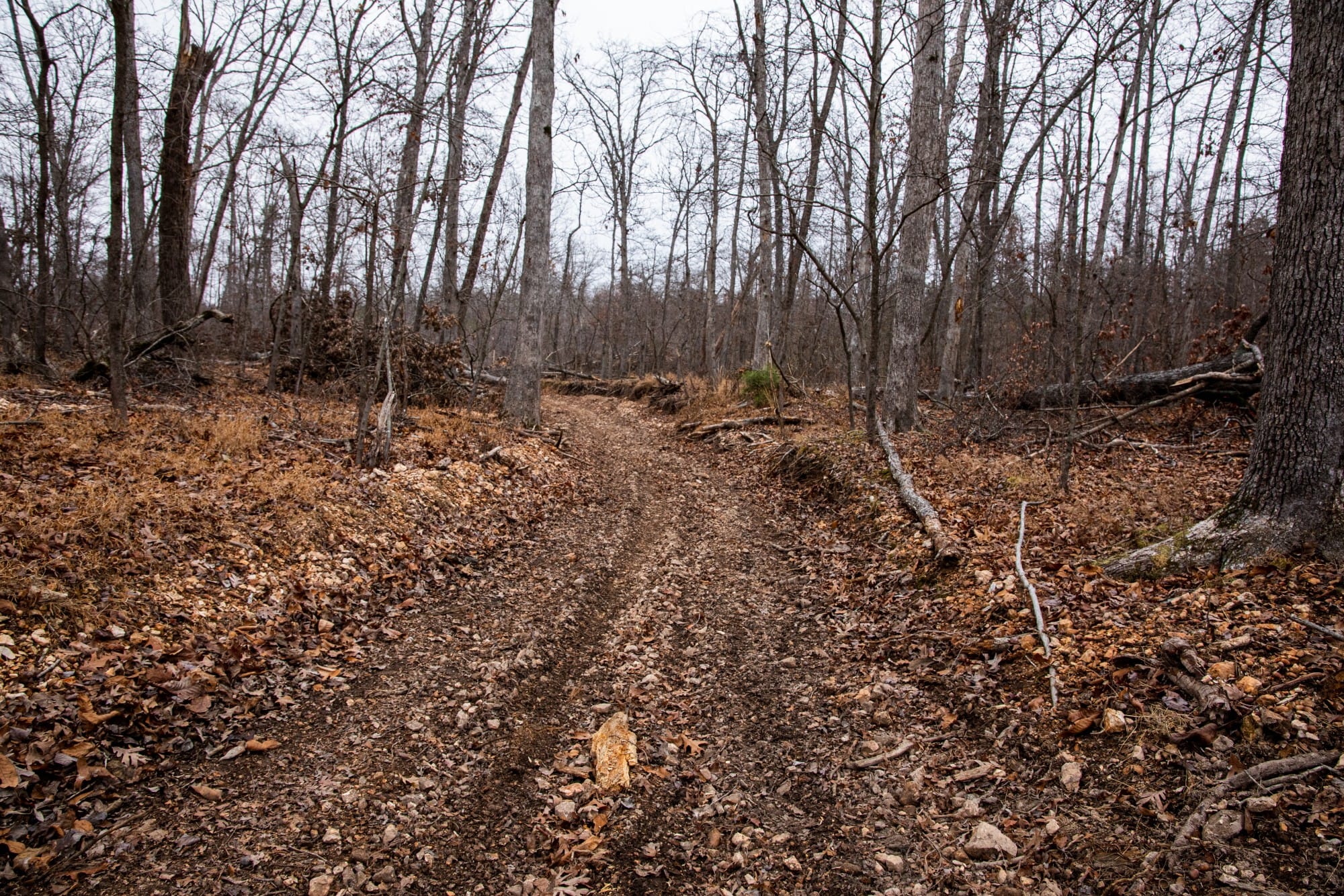 Carter’s Crossing photo 8