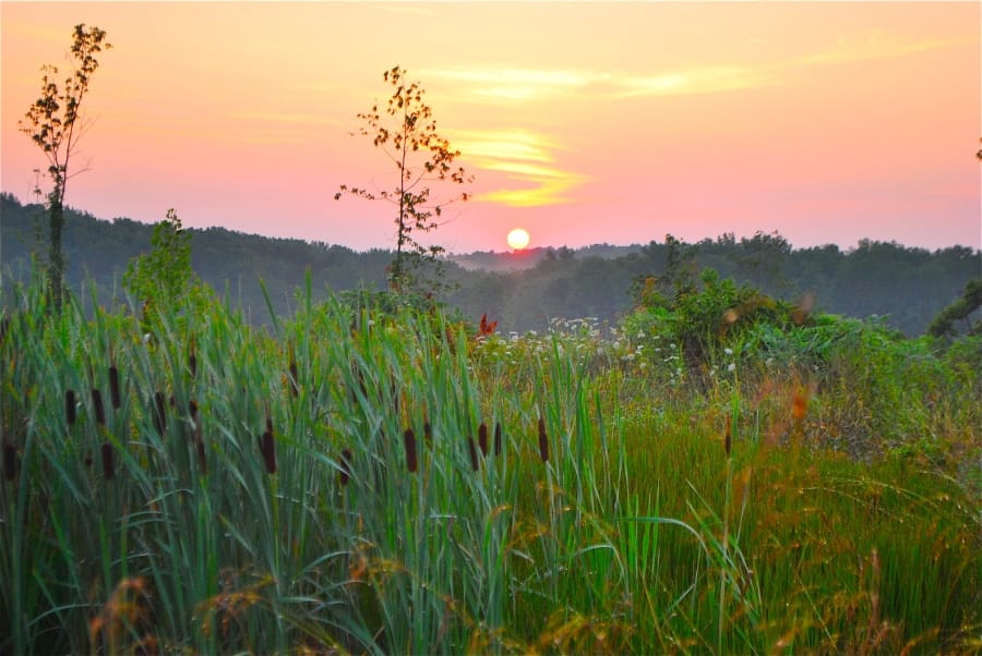 Antler Ridge photo 2