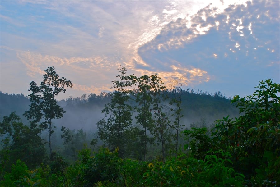 Antler Ridge photo 6
