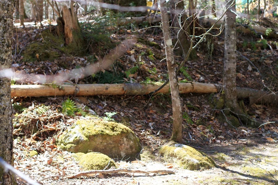 Pleasant Ridge Ranch photo 18