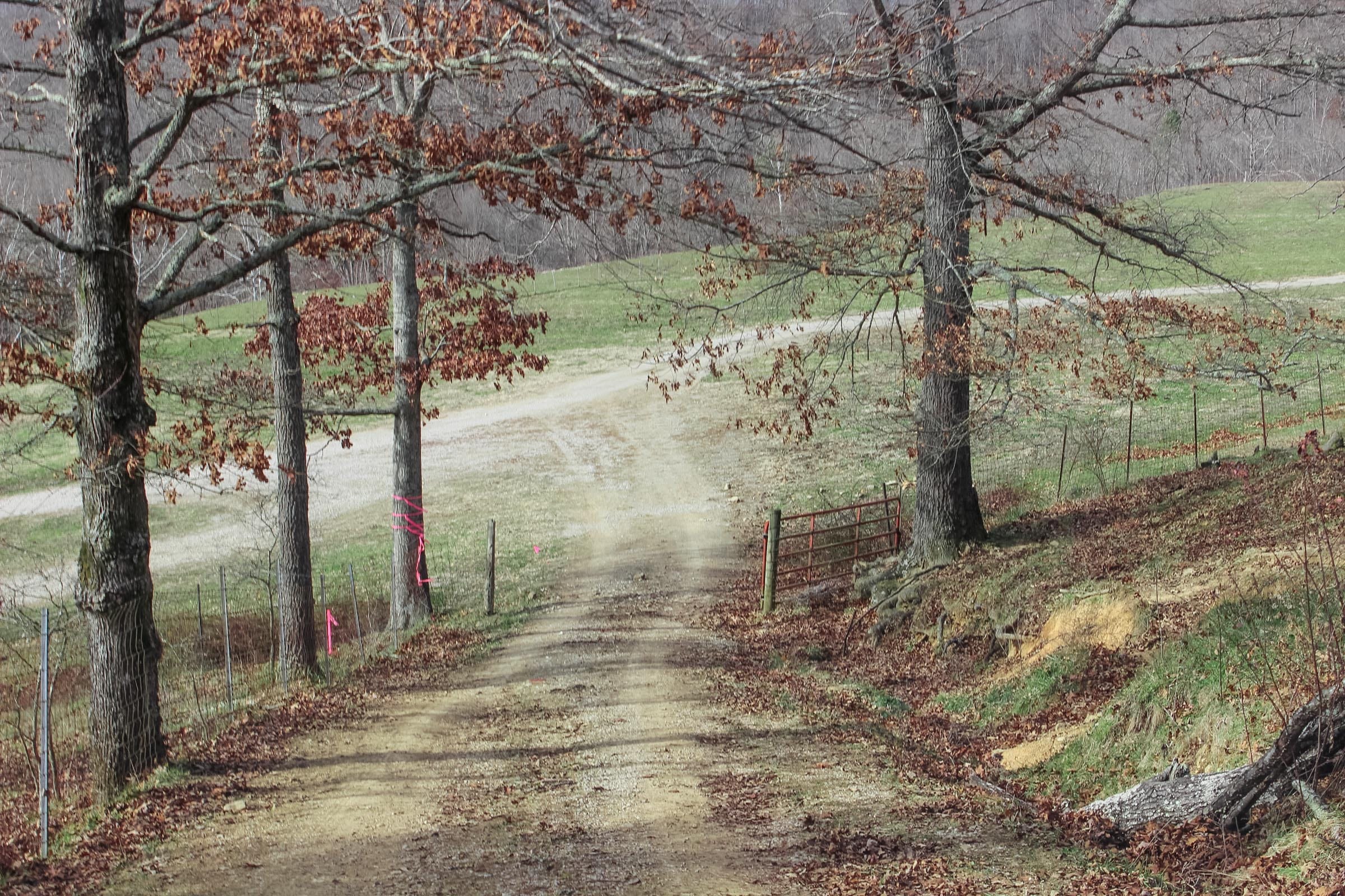 Serenity Creek photo 2