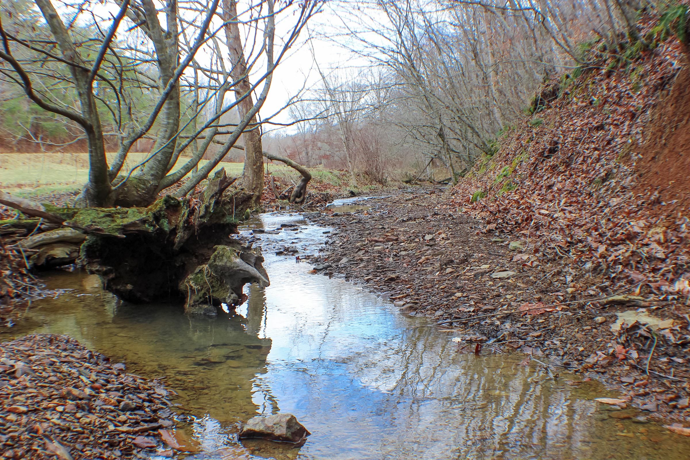 Serenity Creek photo 26