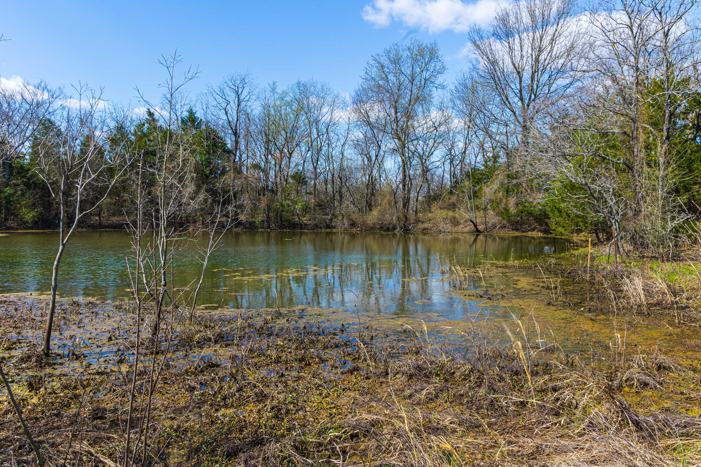 Reserves At Cattail Cove photo 17