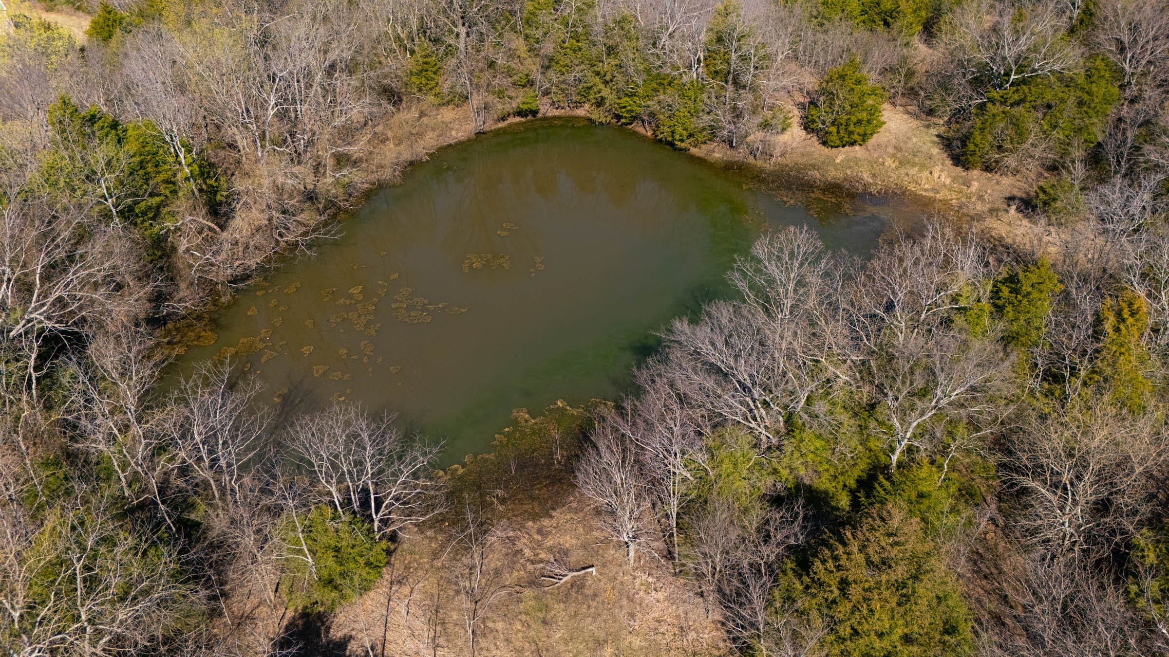 Reserves At Cattail Cove Phase I photo 15
