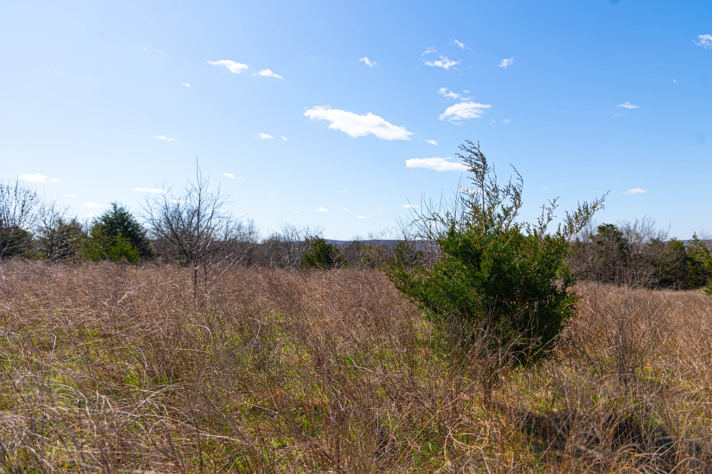 Reserves At Cattail Cove photo 5