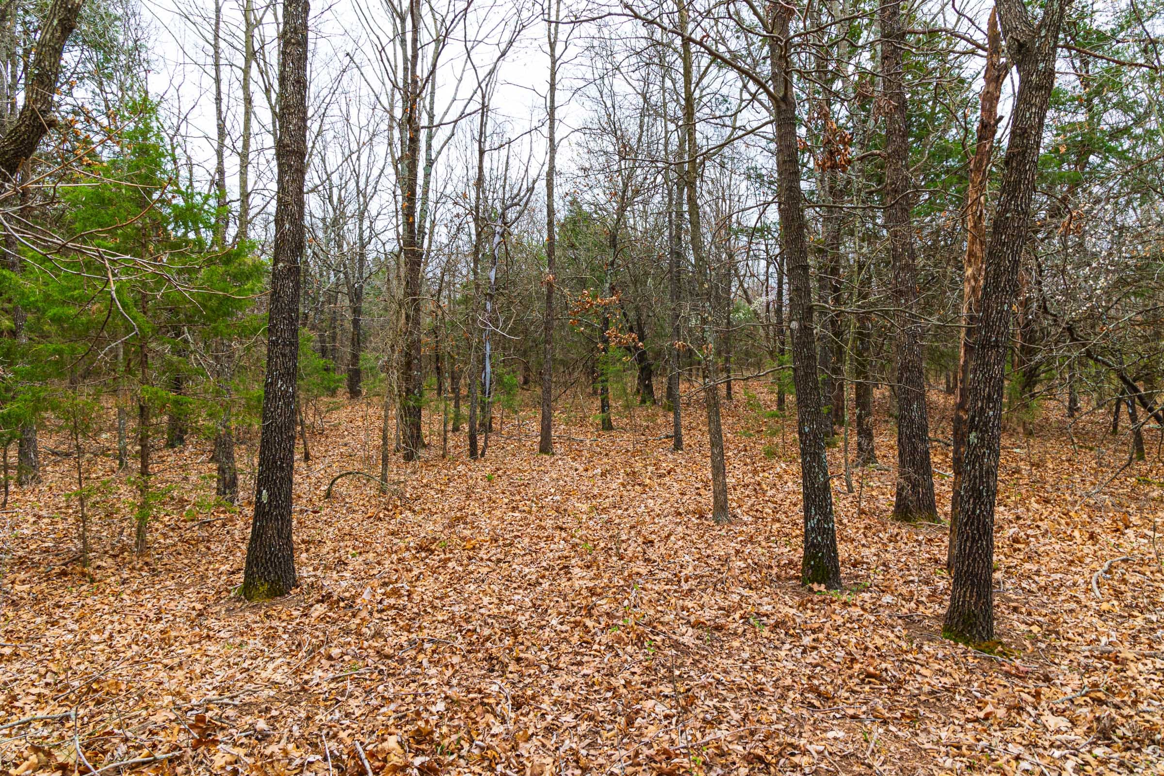 Reserves At Cattail Cove Phase I photo 16
