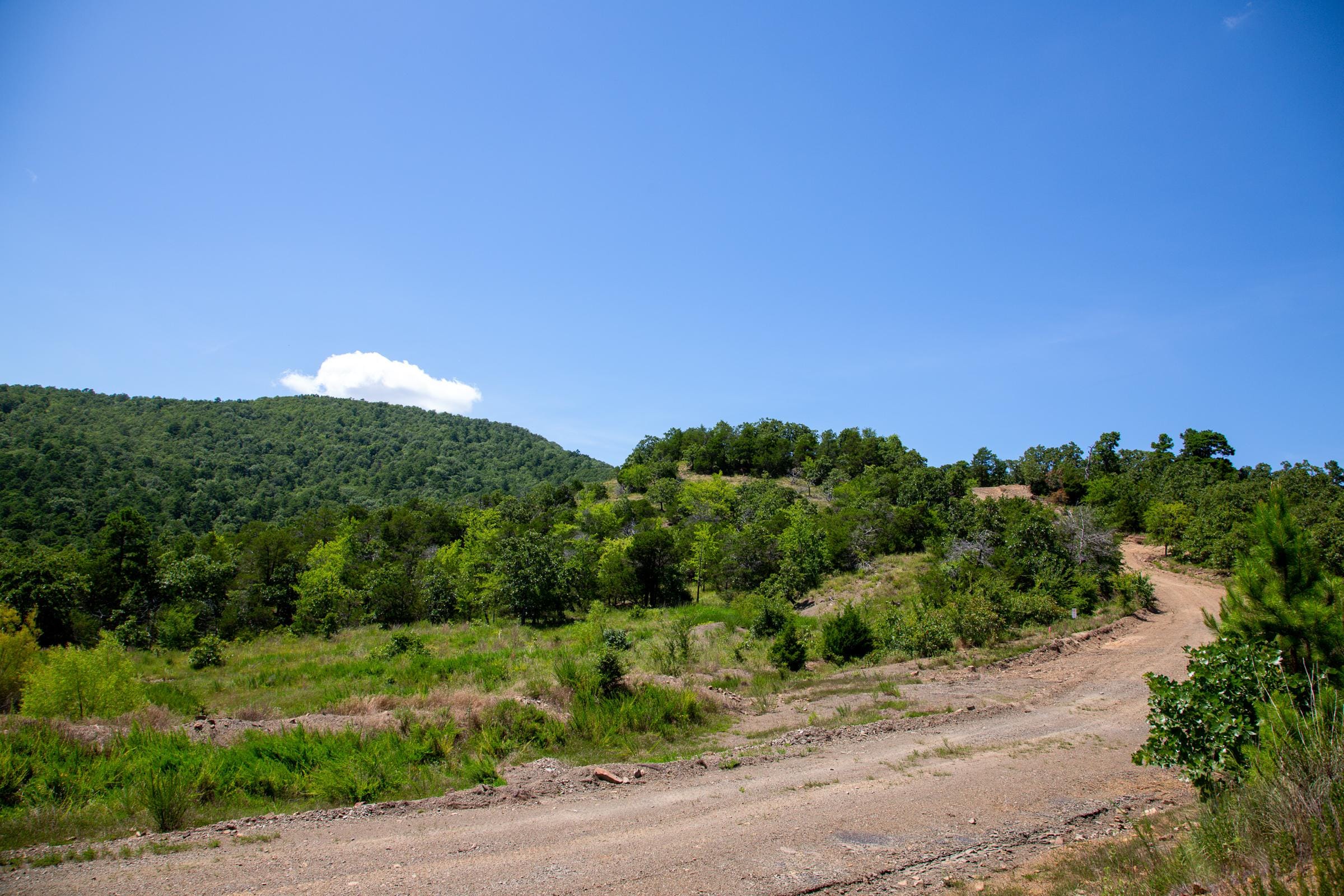 Tyler Stone Ranch photo 19