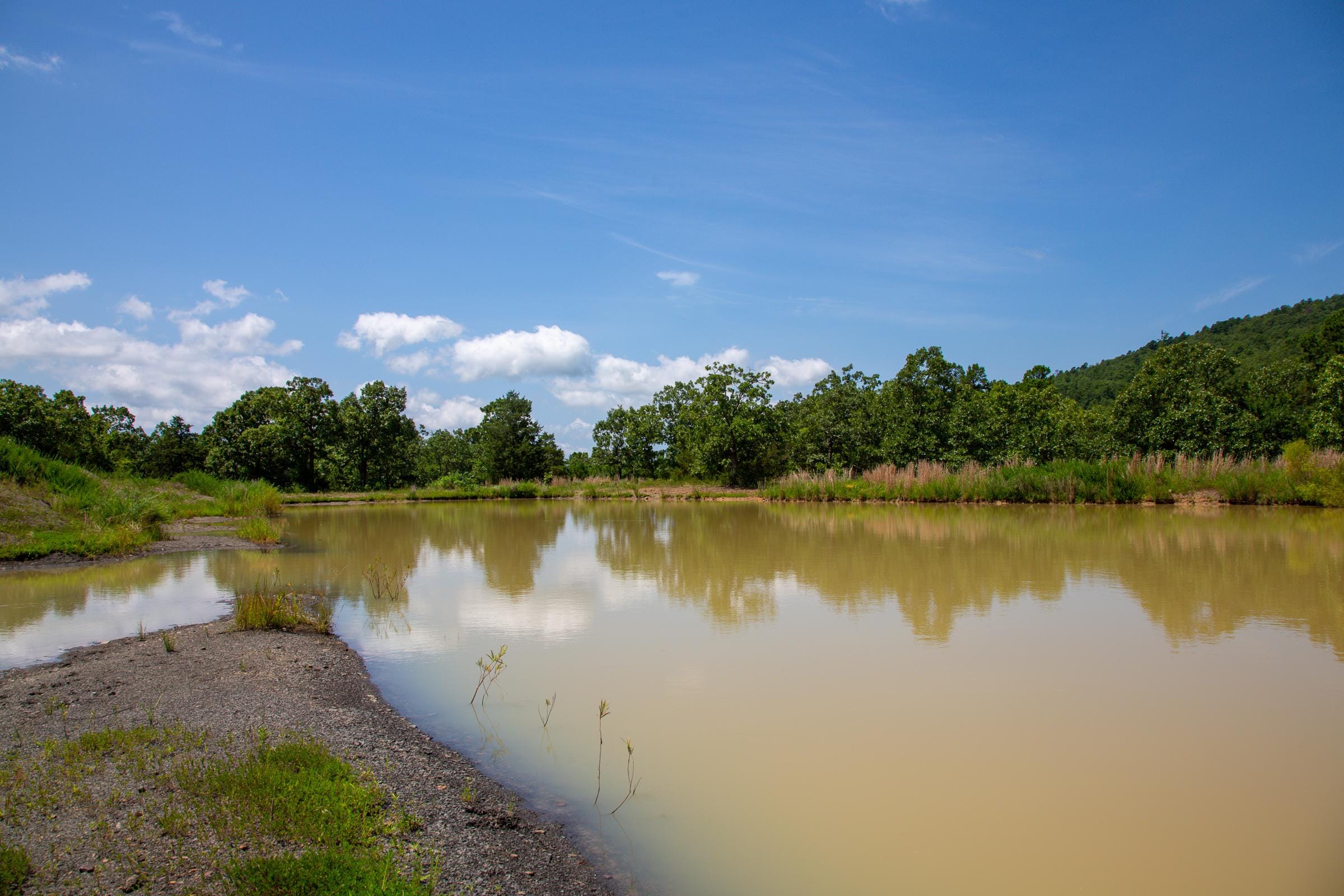 Tyler Stone Ranch photo 16