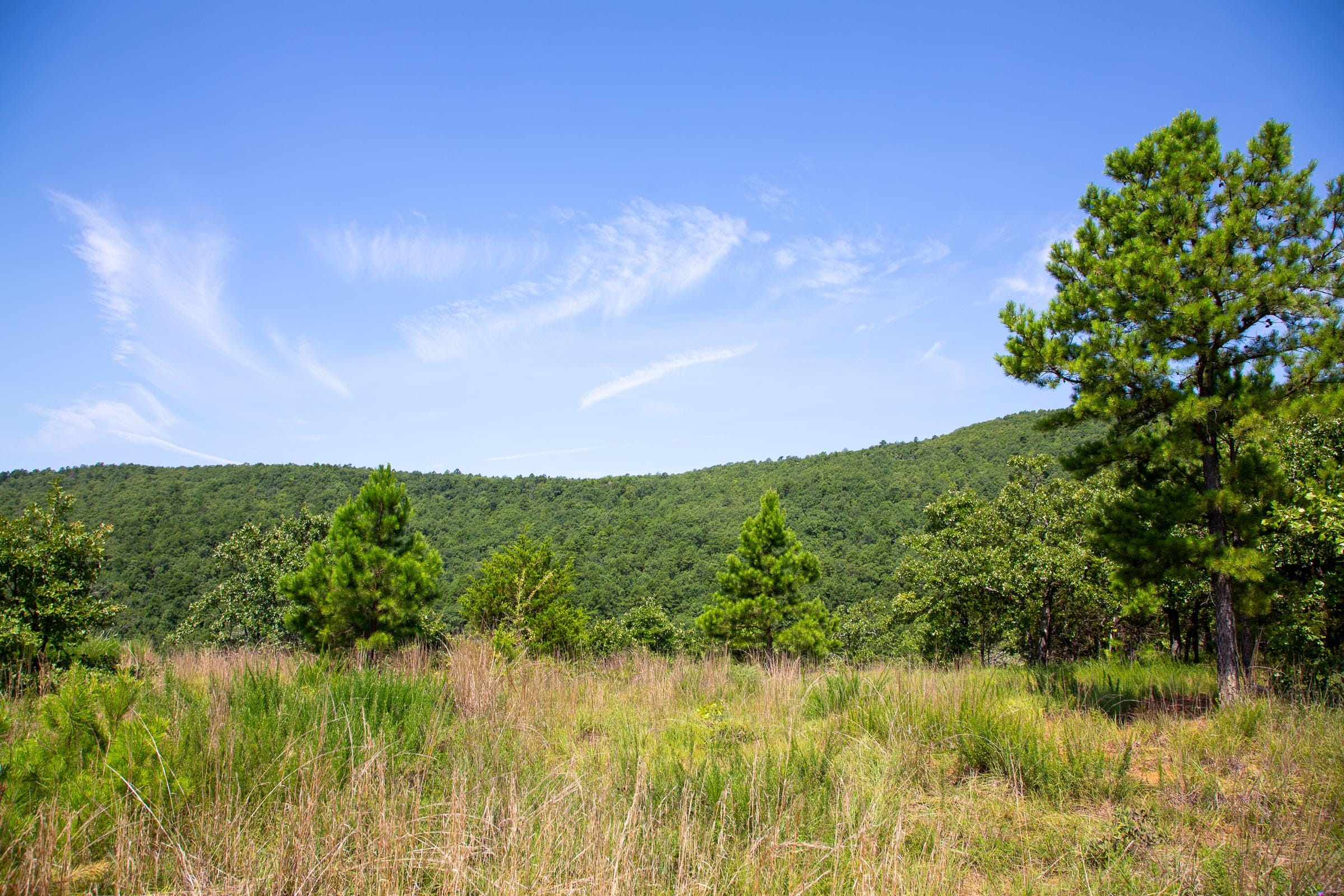 Tyler Stone Ranch photo 12