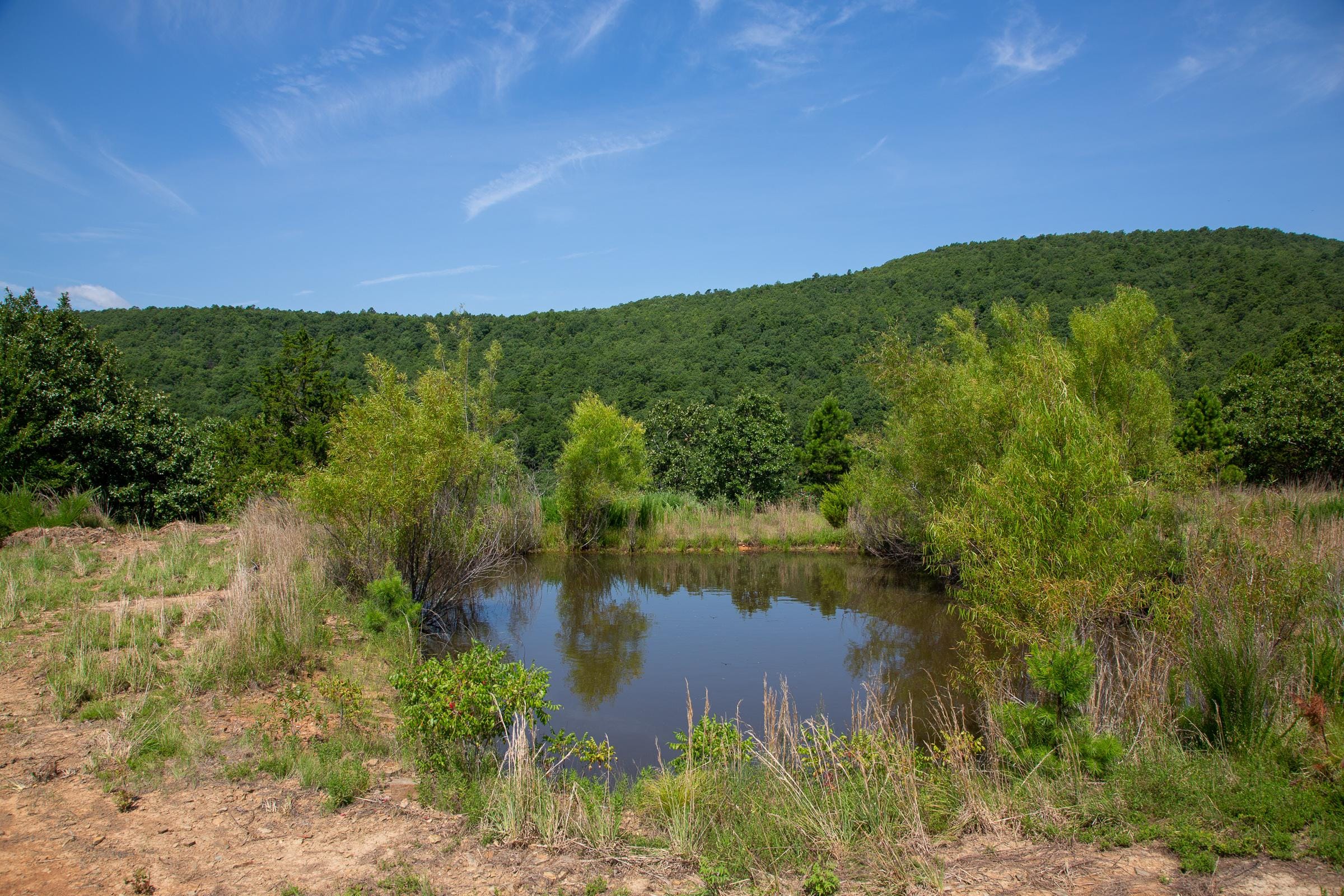 Tyler Stone Ranch photo 13
