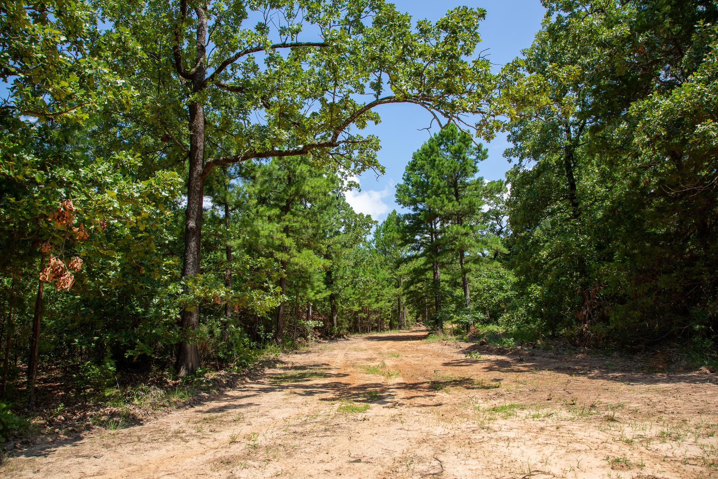 Tyler Stone Ranch photo 5