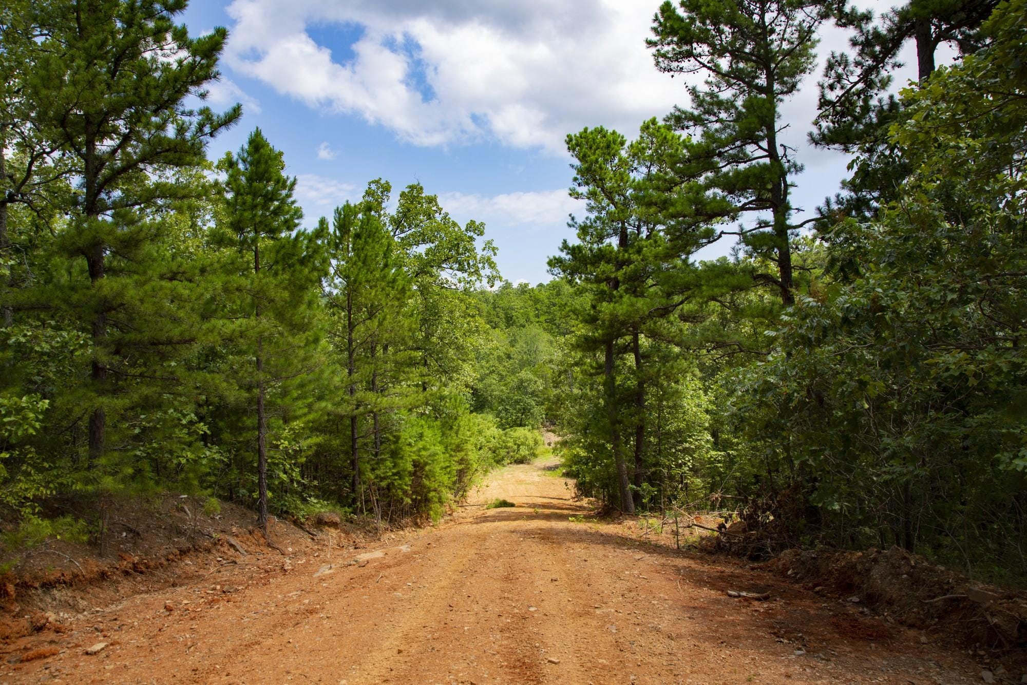 Tyler Stone Ranch photo 6