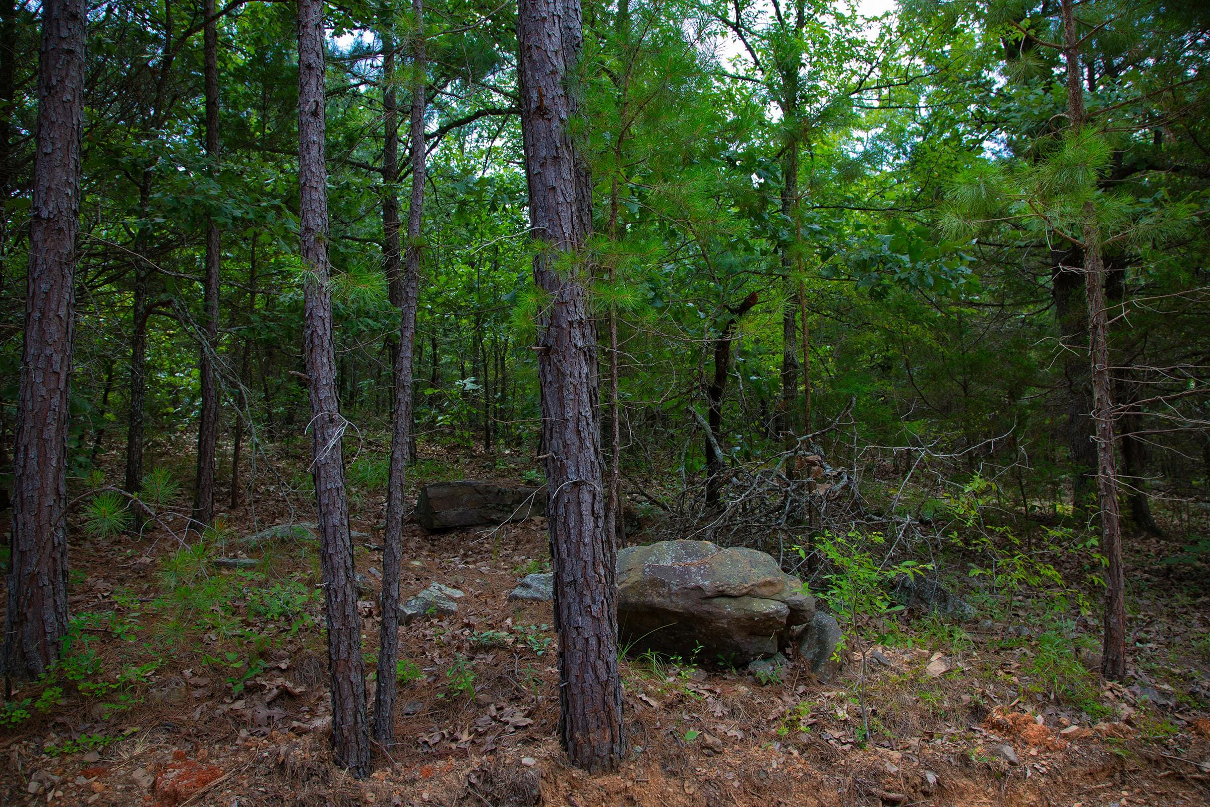 Tyler Stone Ranch photo 8